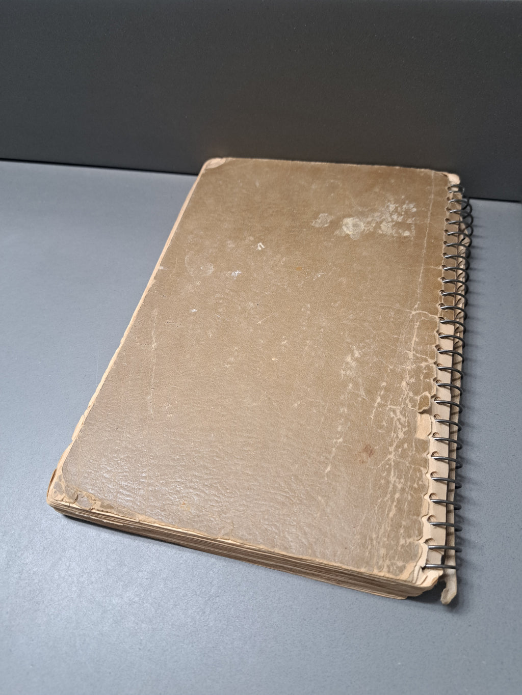 Rare 1937 The Schaller Cook Book sponsored by The Methodist Ladies Aid