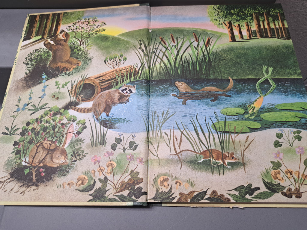 Vintage 1959 Bedtime Stories by Thornton W Burgess
