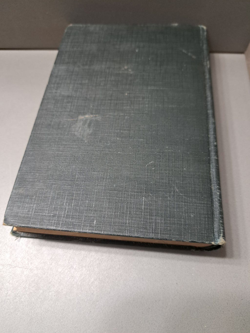 Vintage 1926 Elementary Home Economics by Mary Lockwood Matthews
