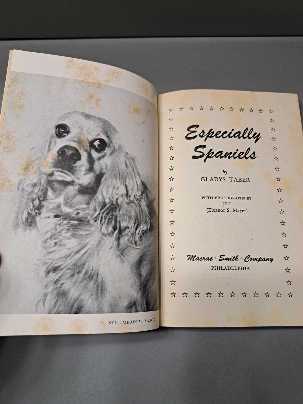 Vintage 1945 Especially Spaniels by Gladys Taber