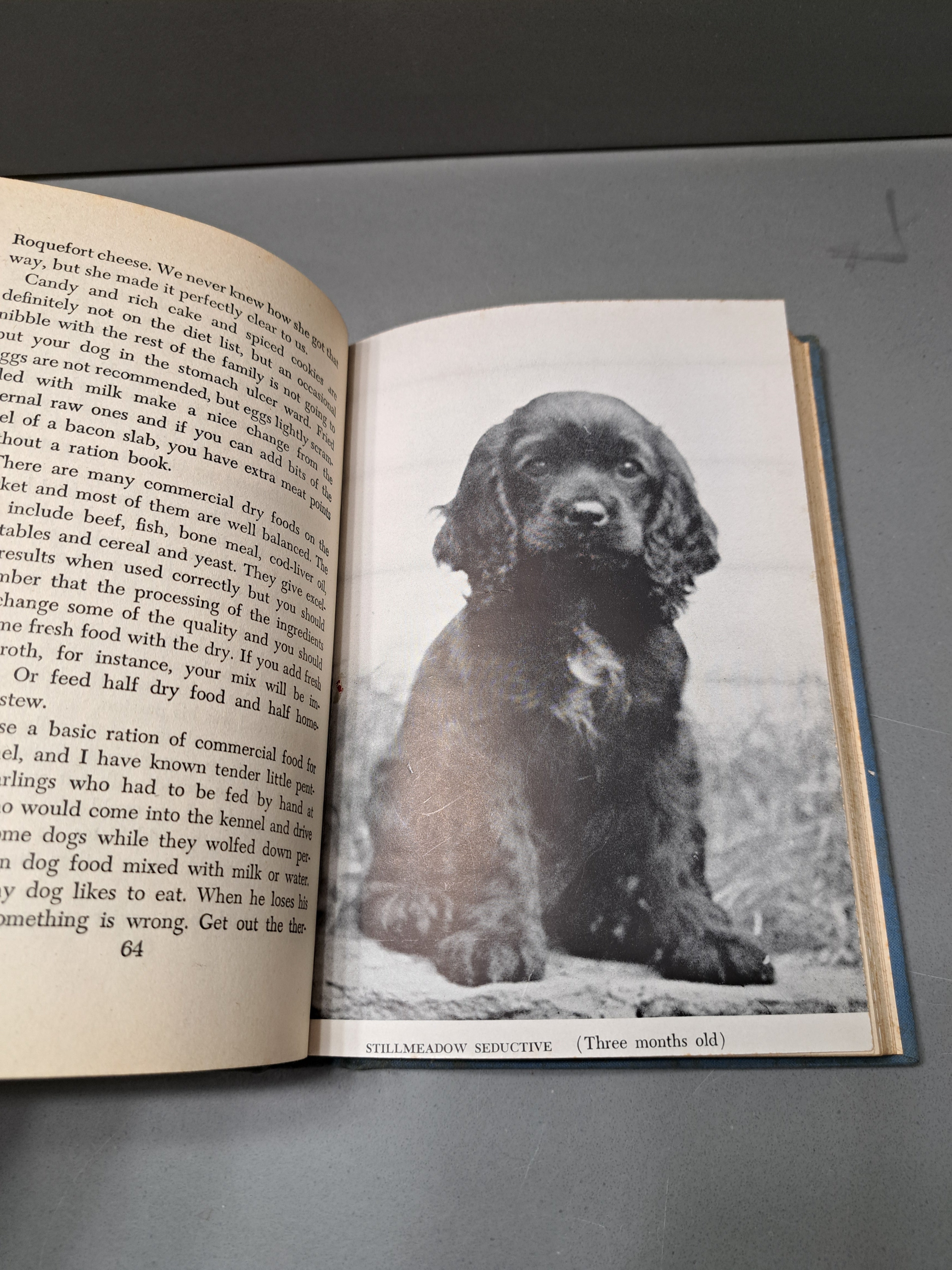 Vintage 1945 Especially Spaniels by Gladys Taber
