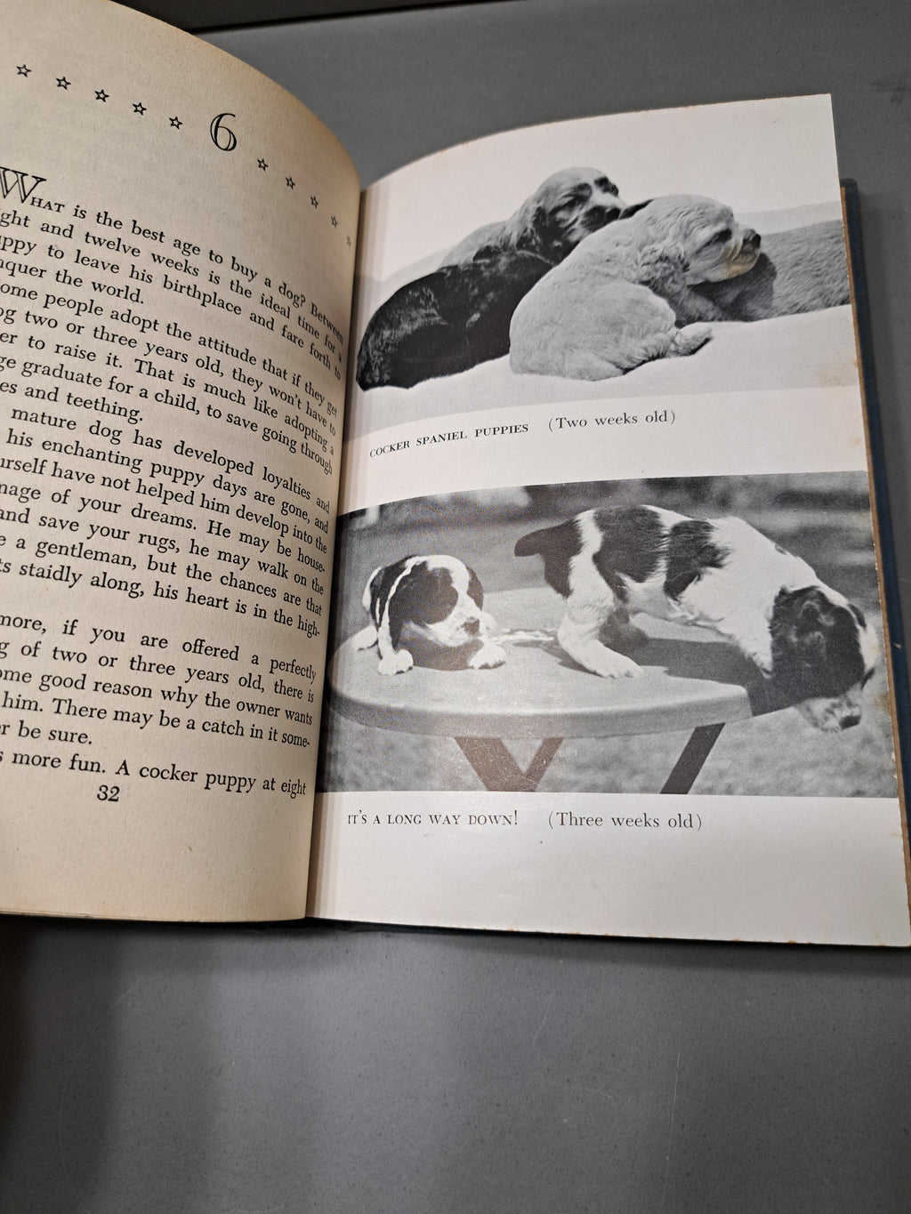 Vintage 1945 Especially Spaniels by Gladys Taber