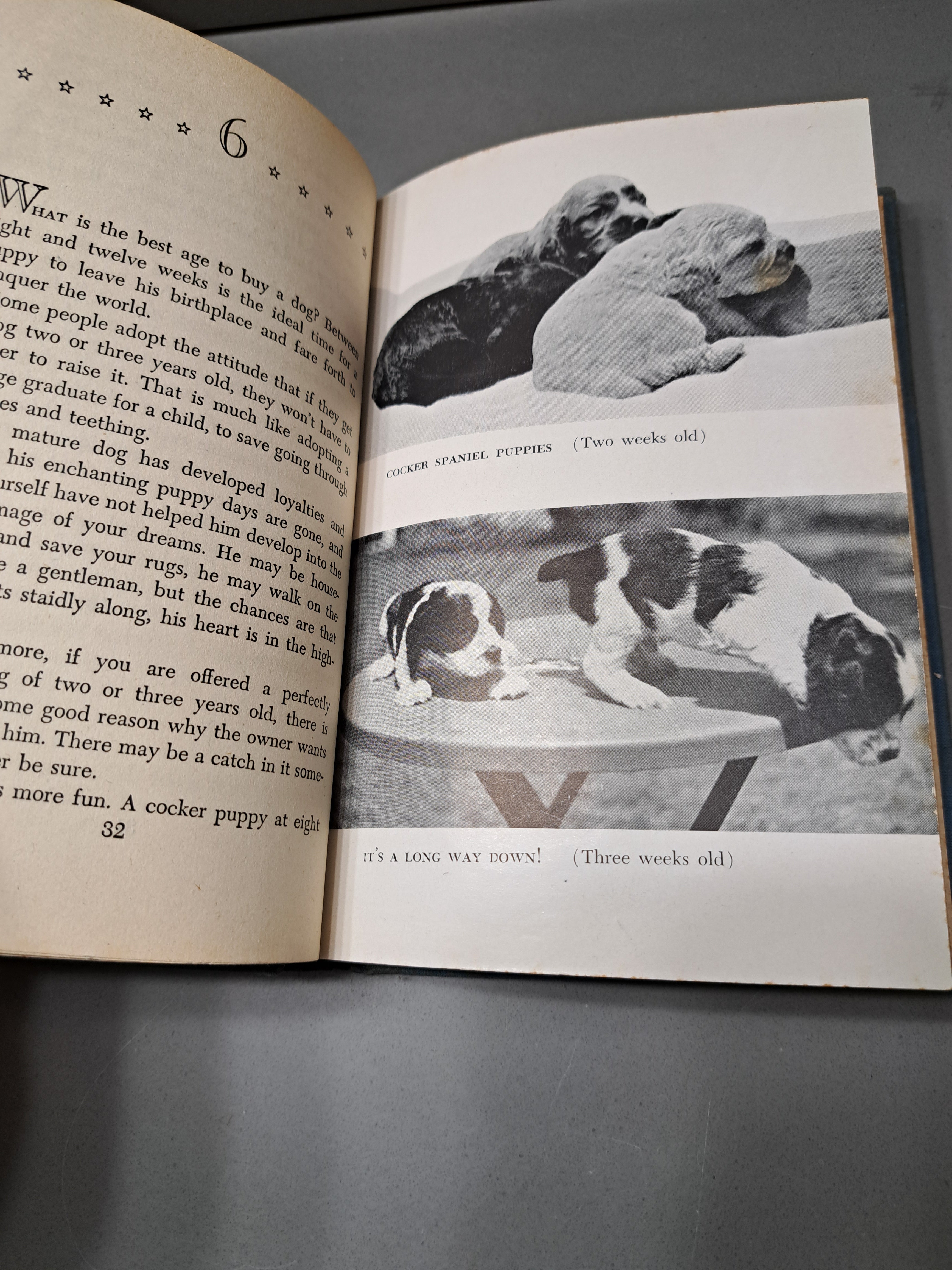 Vintage 1945 Especially Spaniels by Gladys Taber