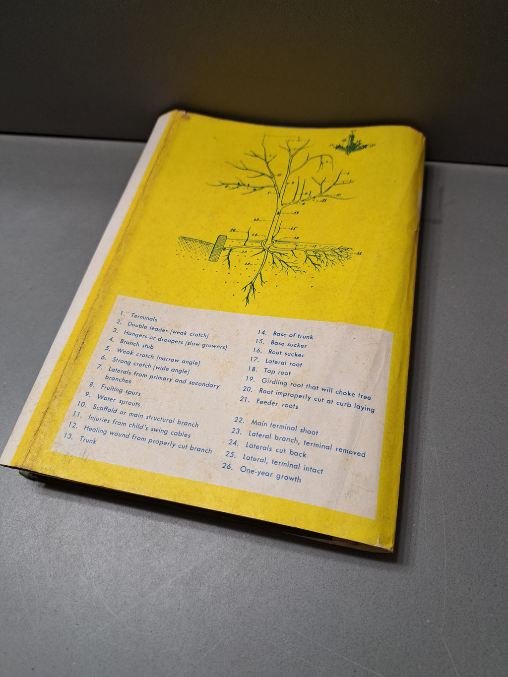 Vintage 1958 first edition of Pruning Made Easy by Edwin F Steffek