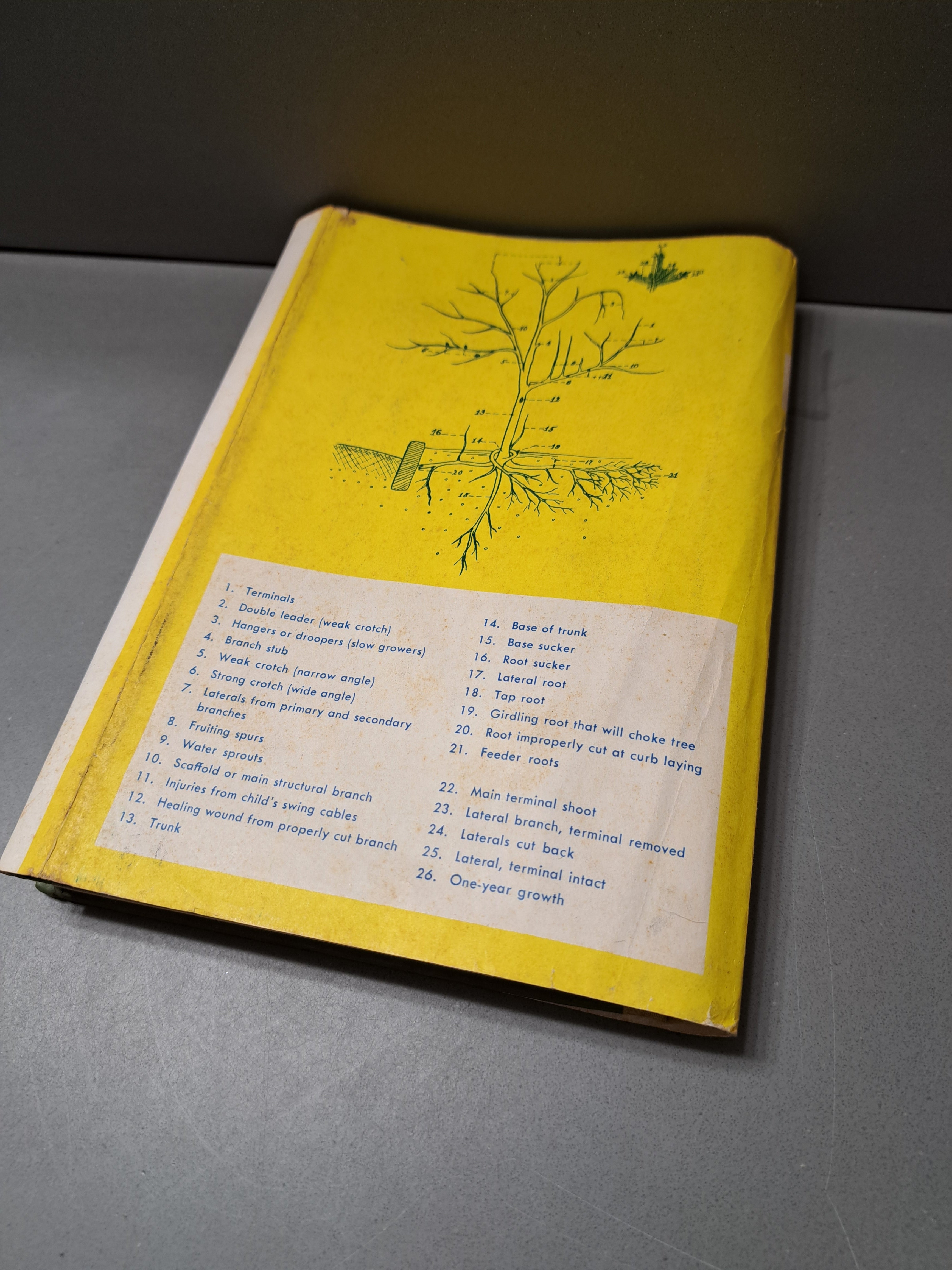 Vintage 1958 first edition of Pruning Made Easy by Edwin F Steffek