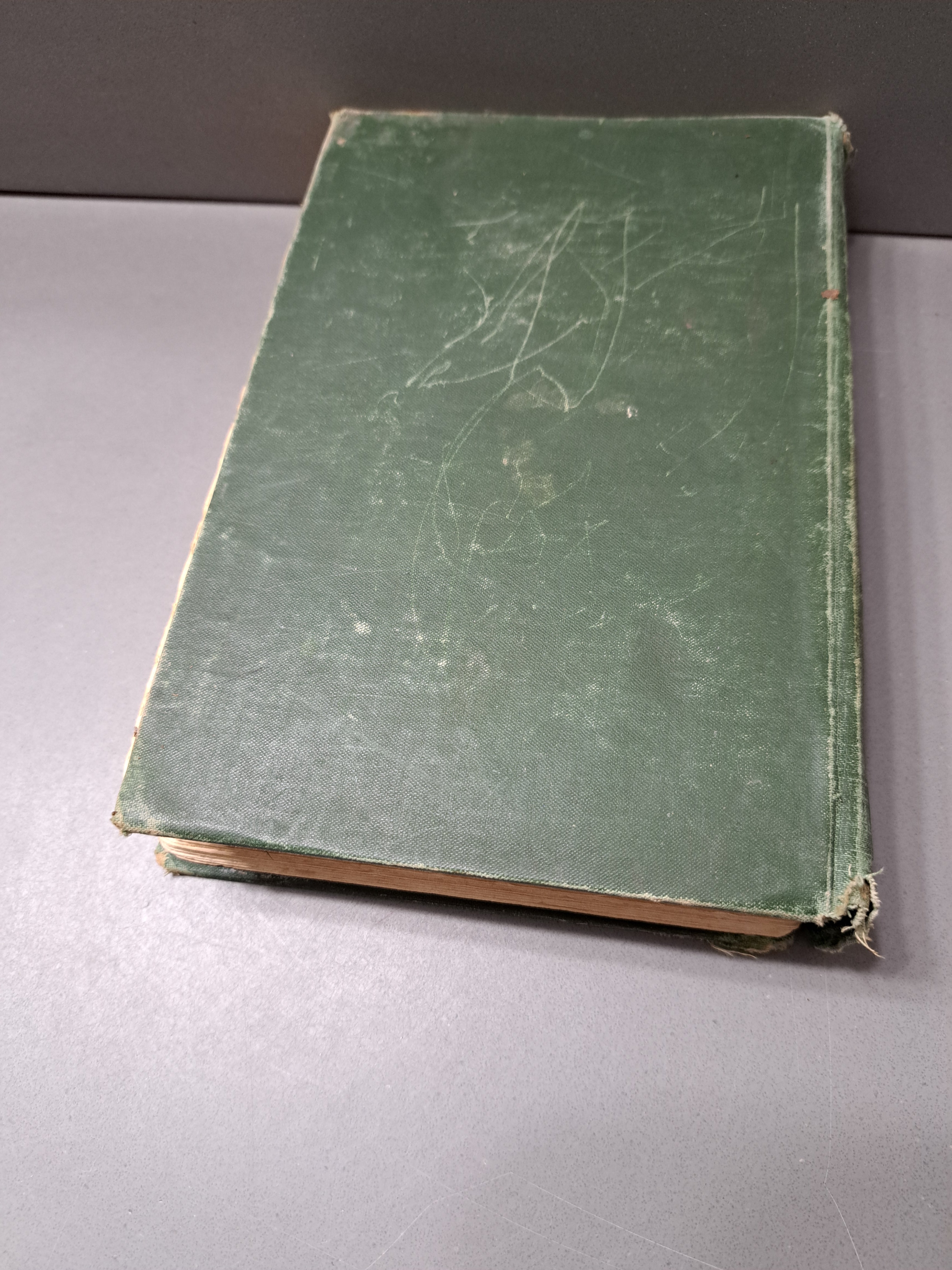 Vintage 1900 Dr North and His Friends by S Weir Mitchell MD