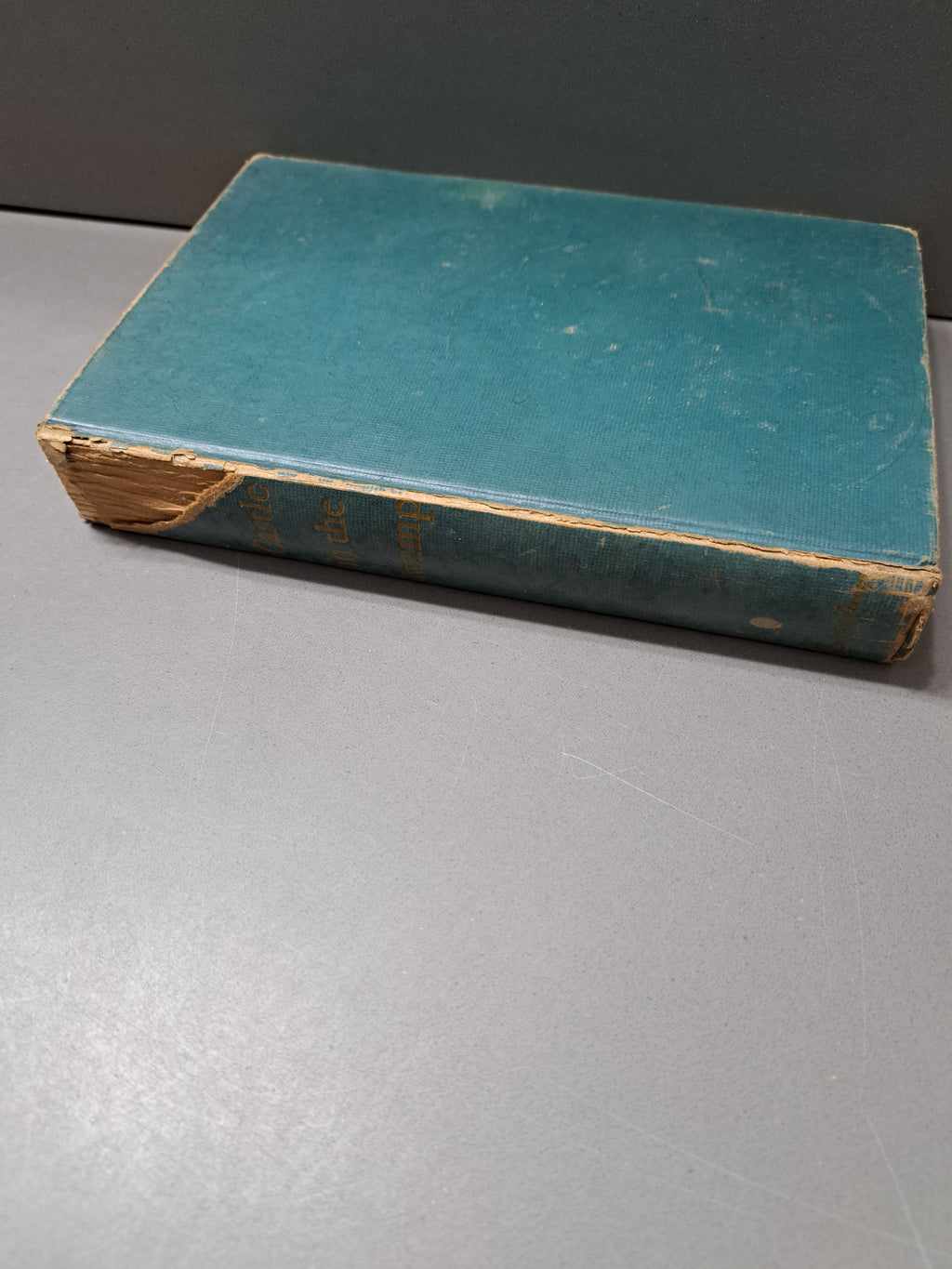 Vintage 1948 first edition of Castle in the Swamp: A Tale of Old Carolina by Edison Marshall