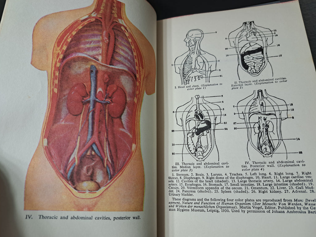 Vintage 1956 Modern Home Medical Adviser: Your Health and How to Preserve it