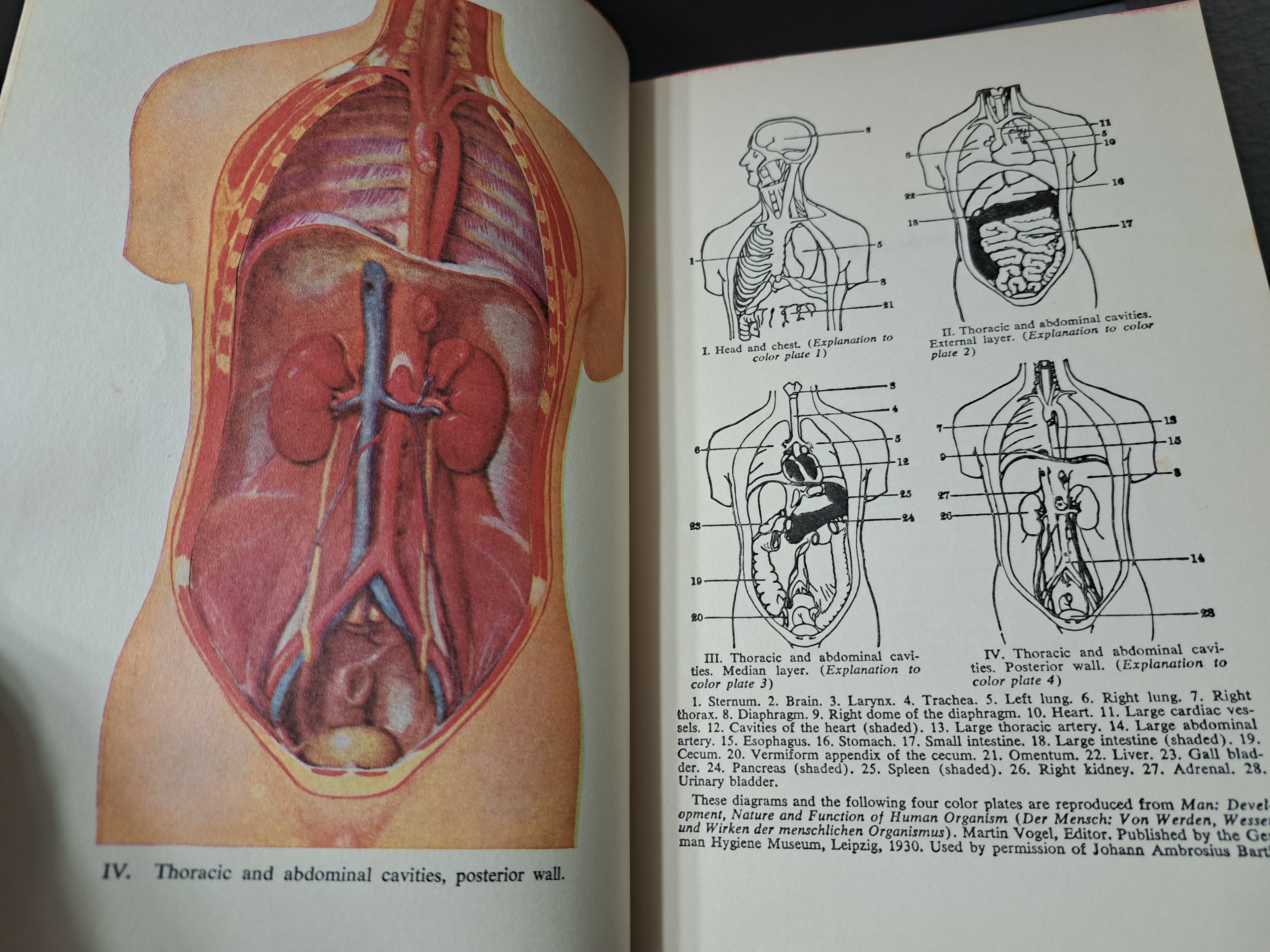 Vintage 1956 Modern Home Medical Adviser: Your Health and How to Preserve it