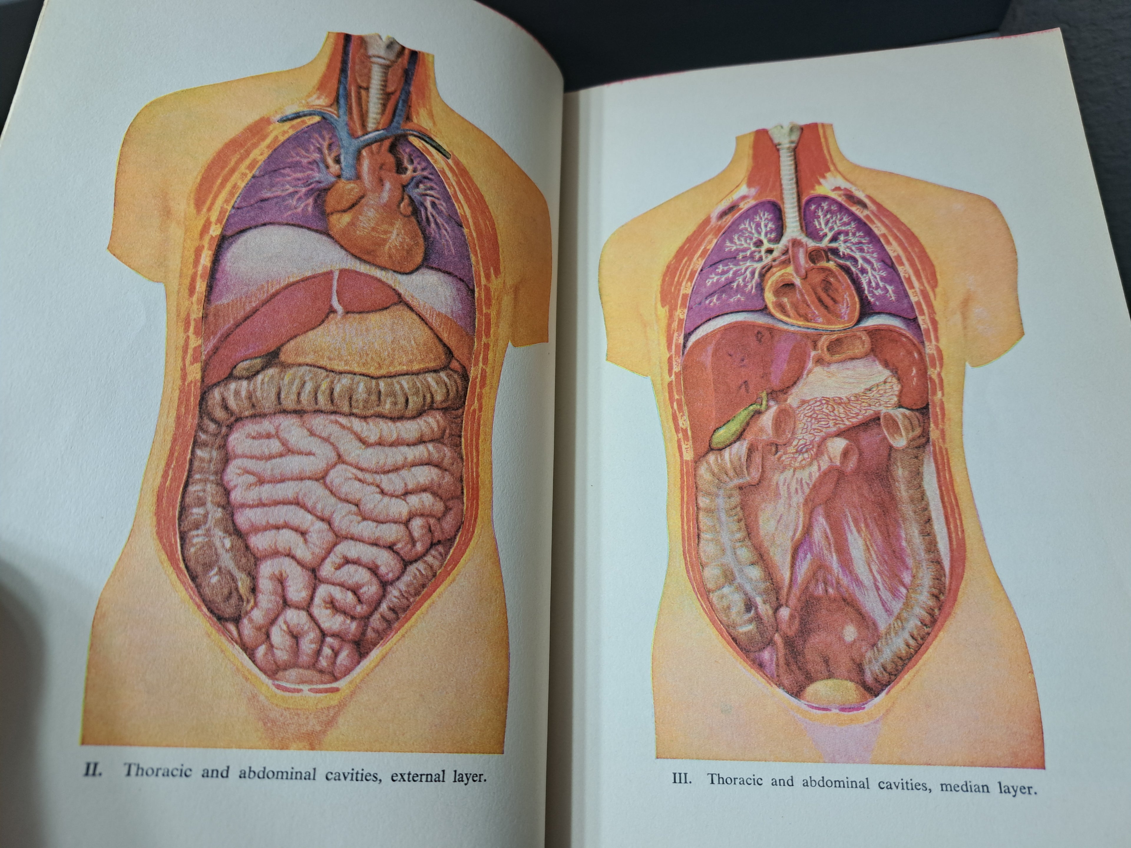 Vintage 1956 Modern Home Medical Adviser: Your Health and How to Preserve it