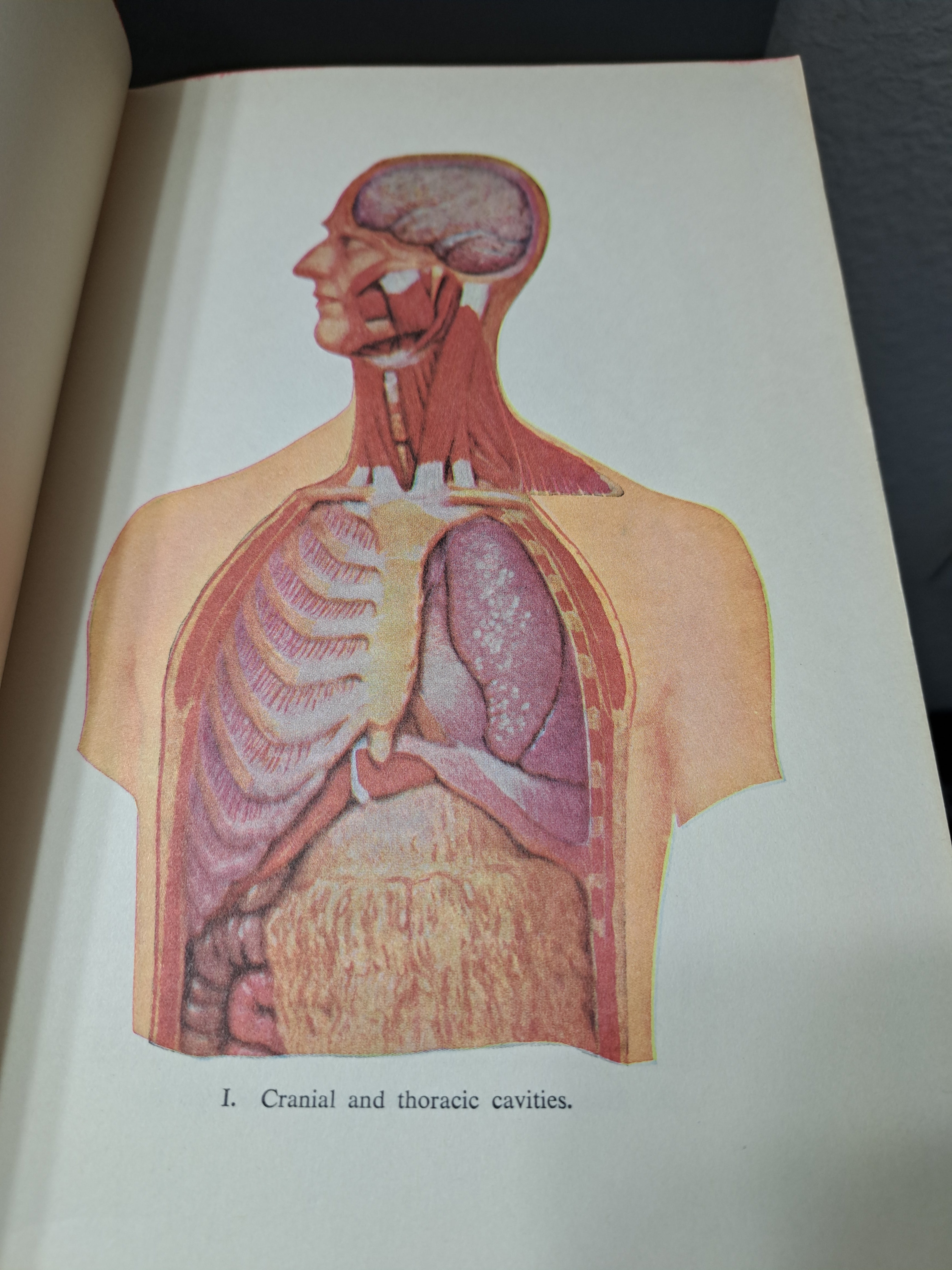 Vintage 1956 Modern Home Medical Adviser: Your Health and How to Preserve it