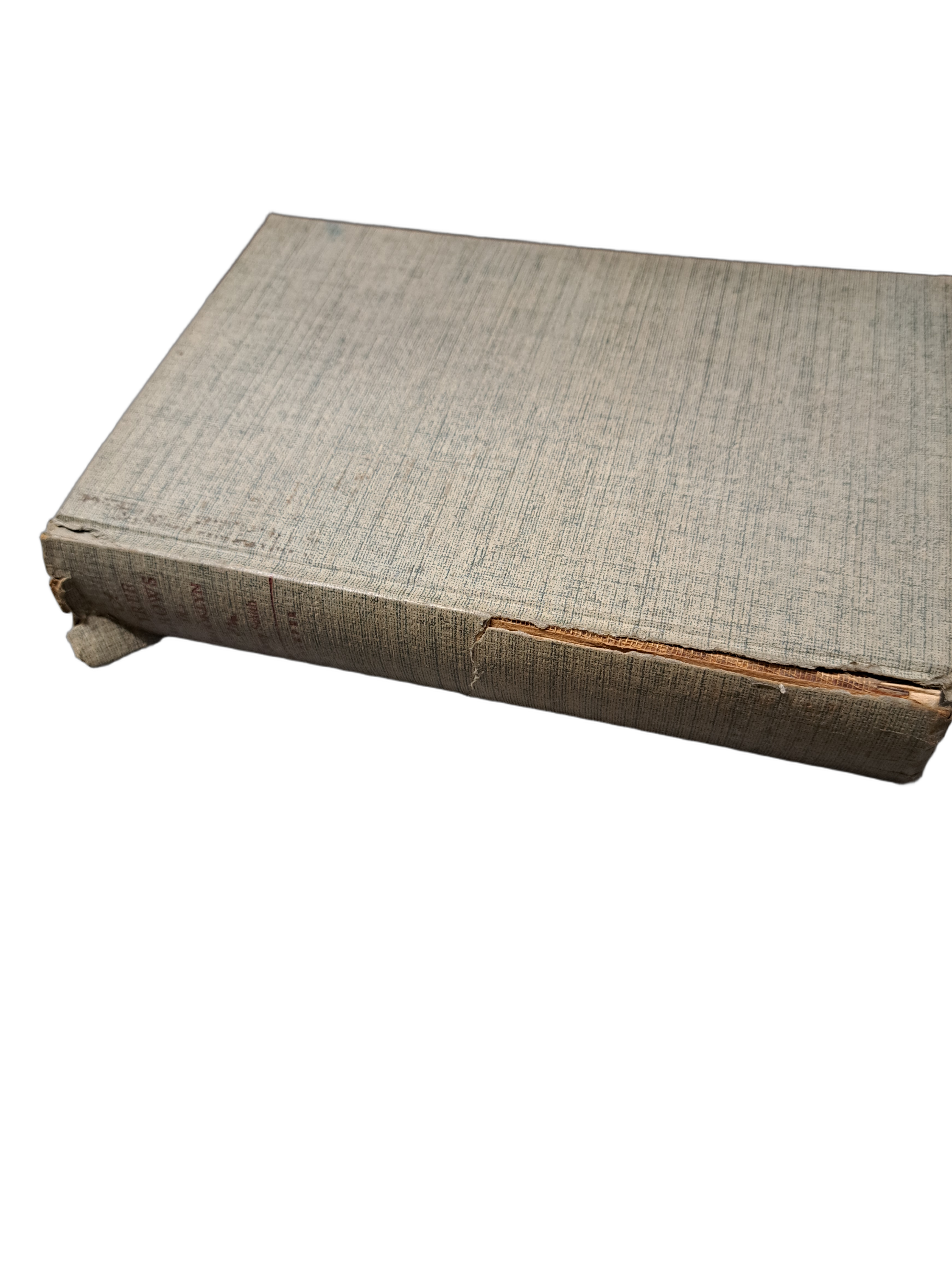 Vintage 1943 A Tree Grows in Brooklyn by Betty Smith