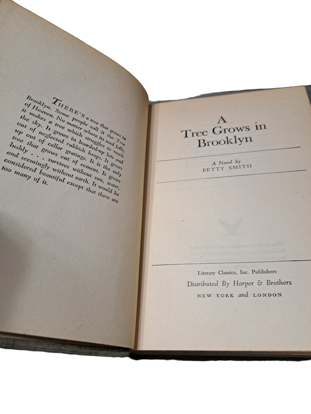 Vintage 1943 A Tree Grows in Brooklyn by Betty Smith