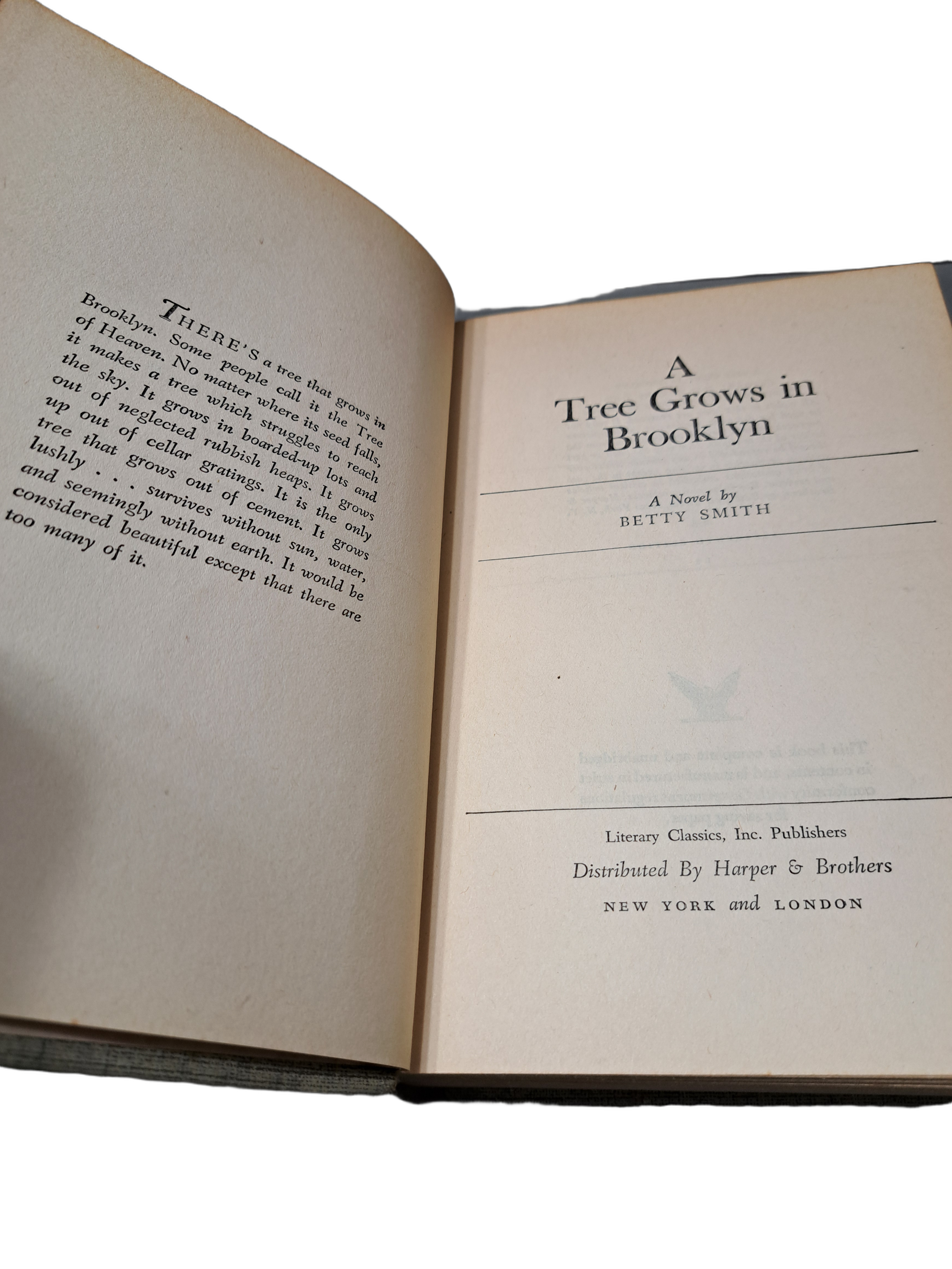 Vintage 1943 A Tree Grows in Brooklyn by Betty Smith
