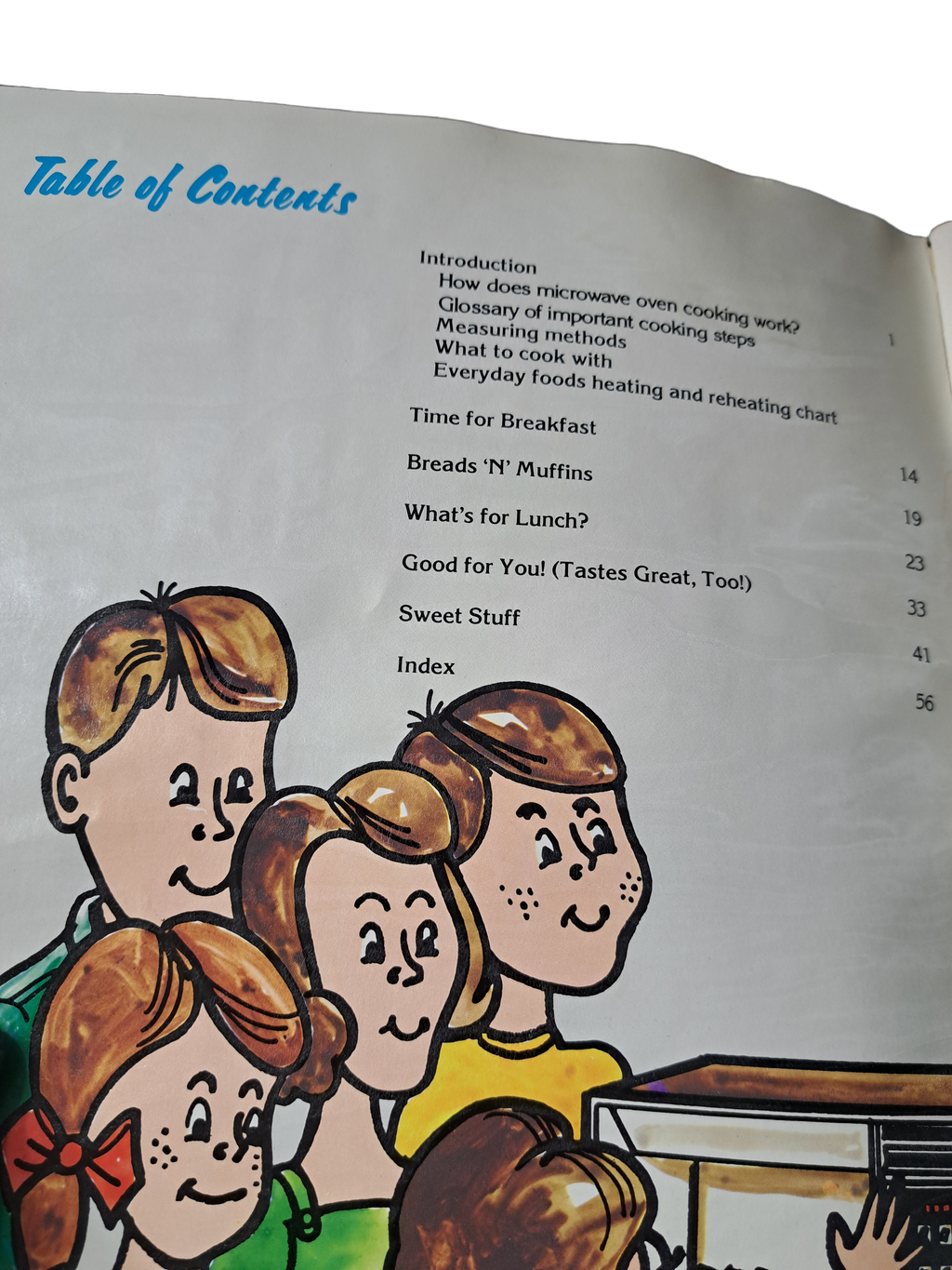 Vintage 1981 Amana cookbook: Crunchies, Munchies & Hamburgers, too!