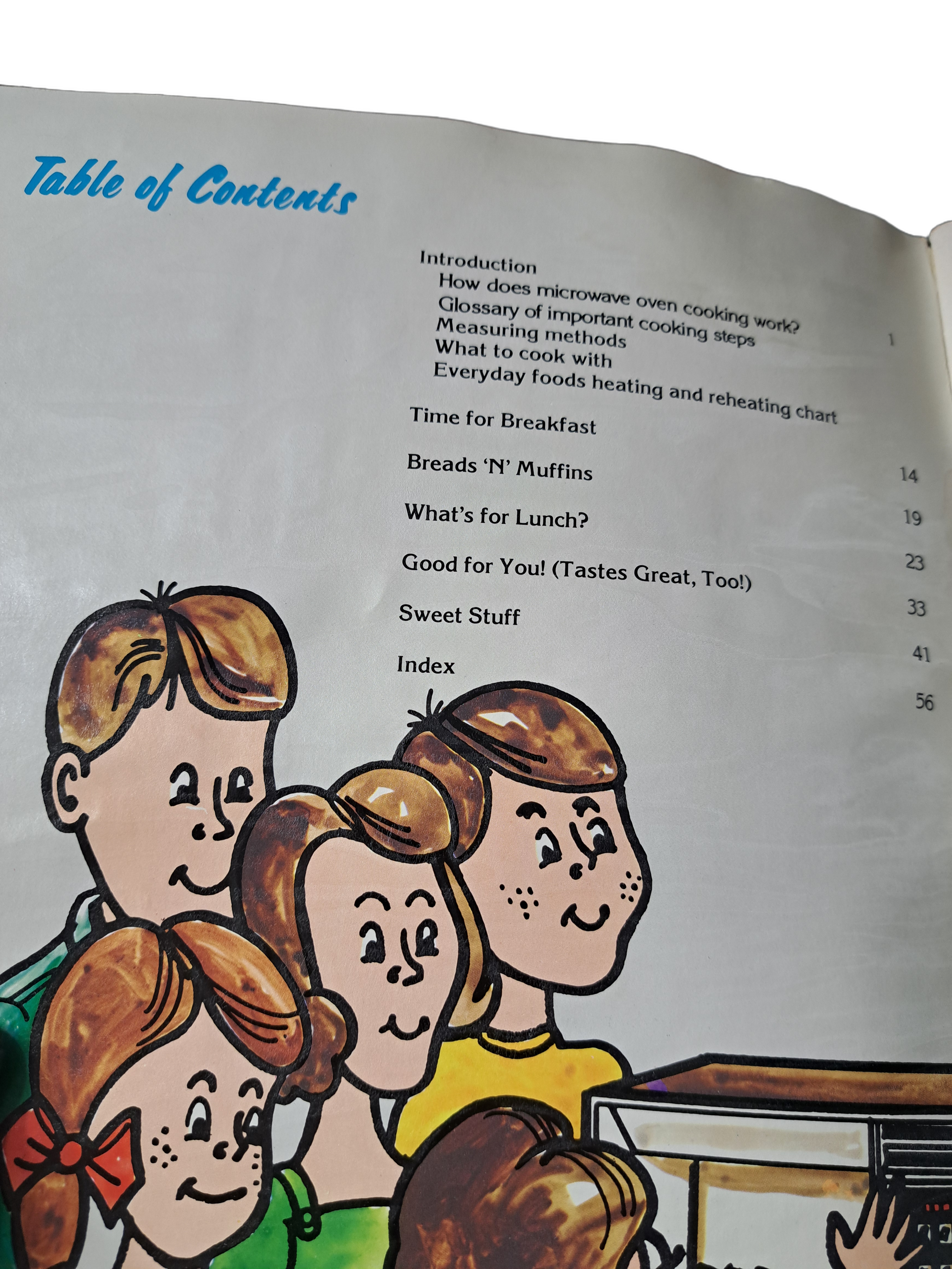 Vintage 1981 Amana cookbook: Crunchies, Munchies & Hamburgers, too!