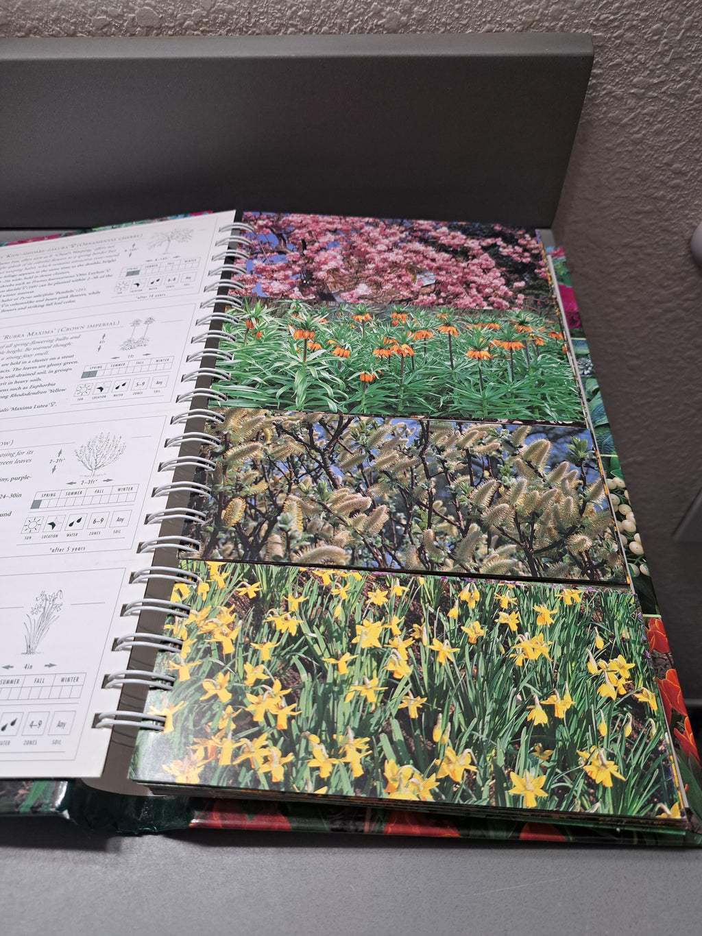 The Garden Planner: Over a million ways to mix and match perfect beds and borders