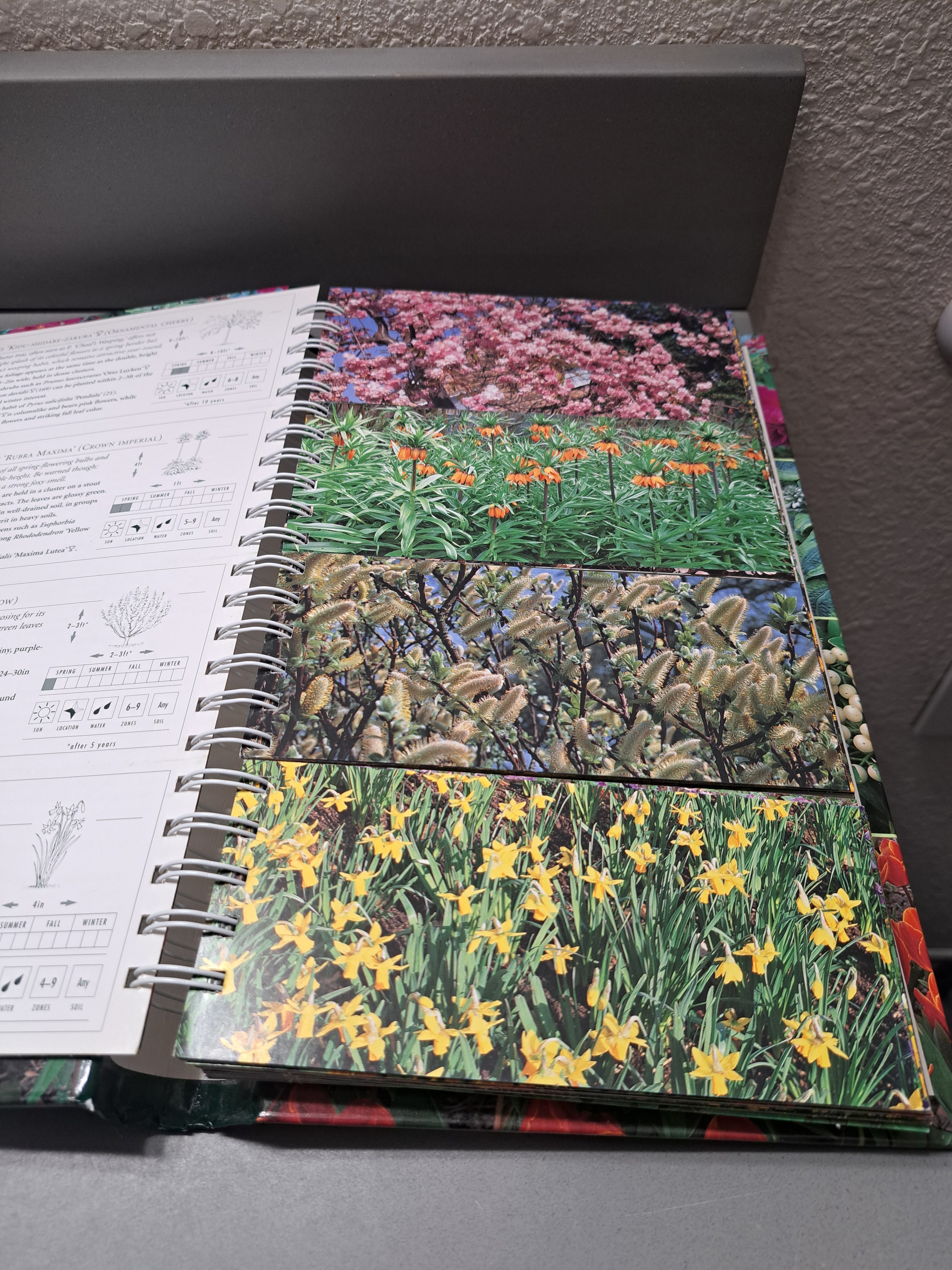 The Garden Planner: Over a million ways to mix and match perfect beds and borders