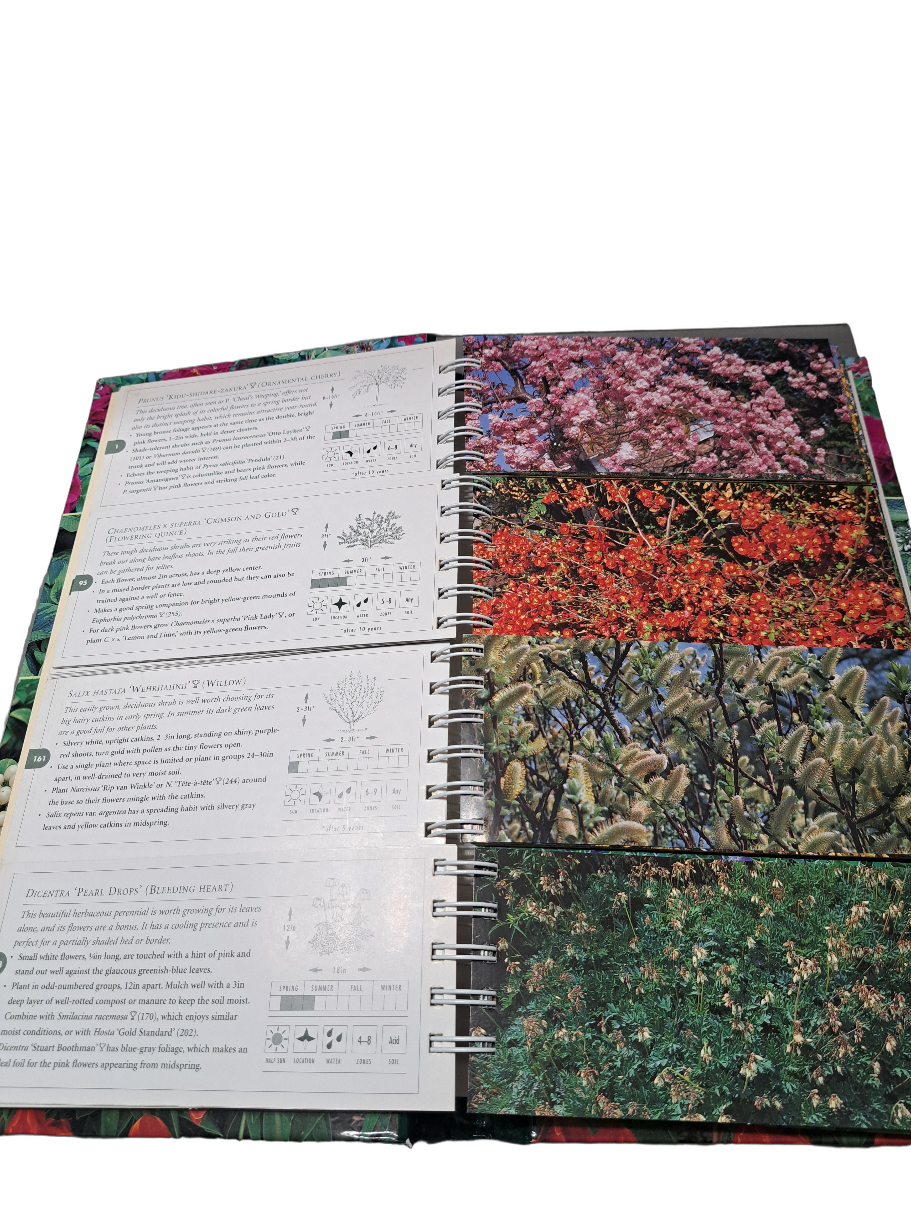The Garden Planner: Over a million ways to mix and match perfect beds and borders