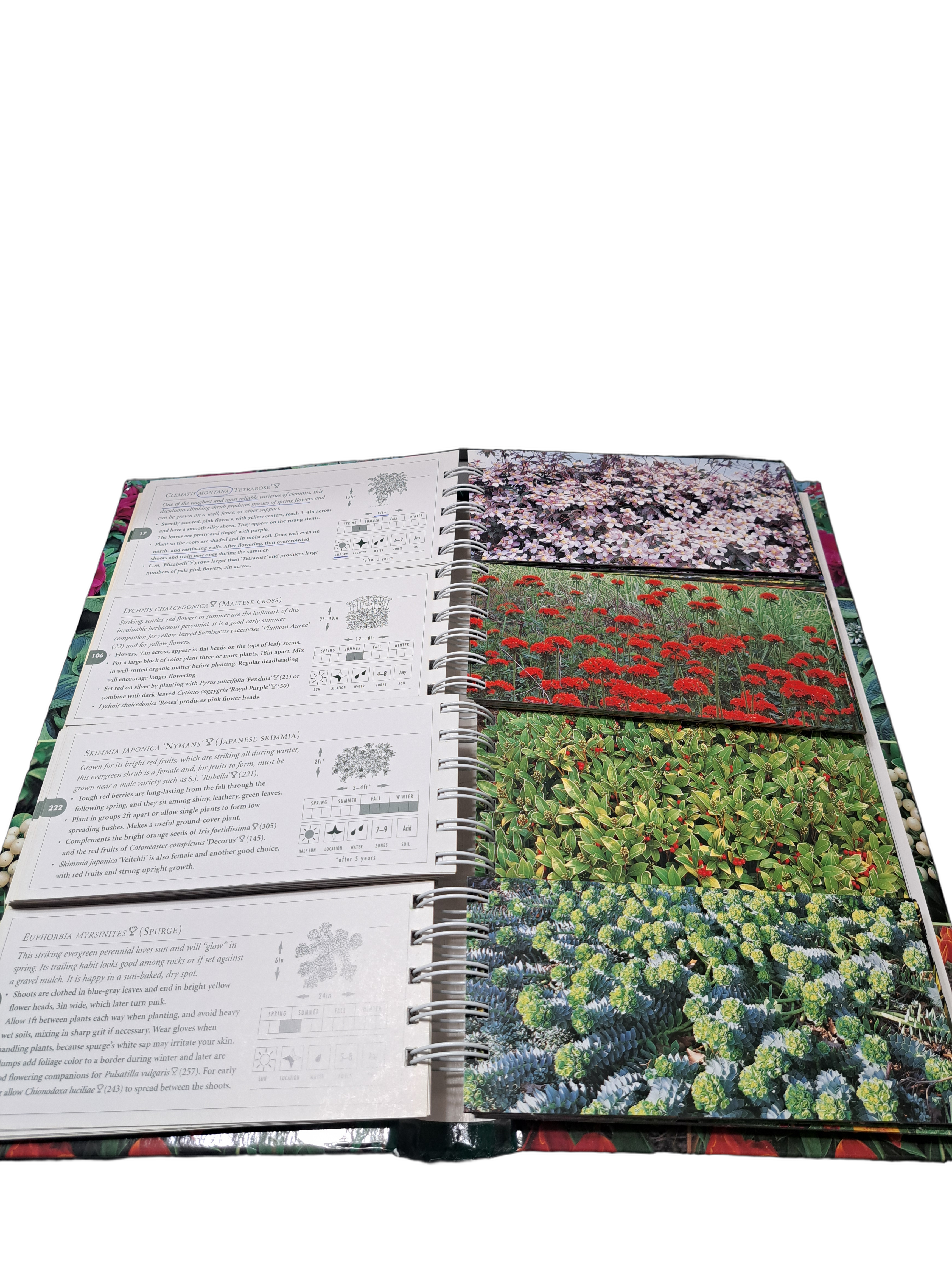 The Garden Planner: Over a million ways to mix and match perfect beds and borders