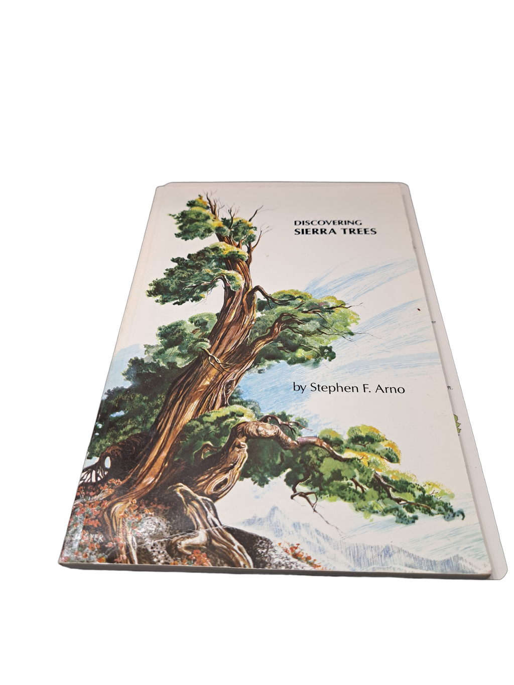 Vintage 1973 Discovering Sierra Trees by Stephen F Arno