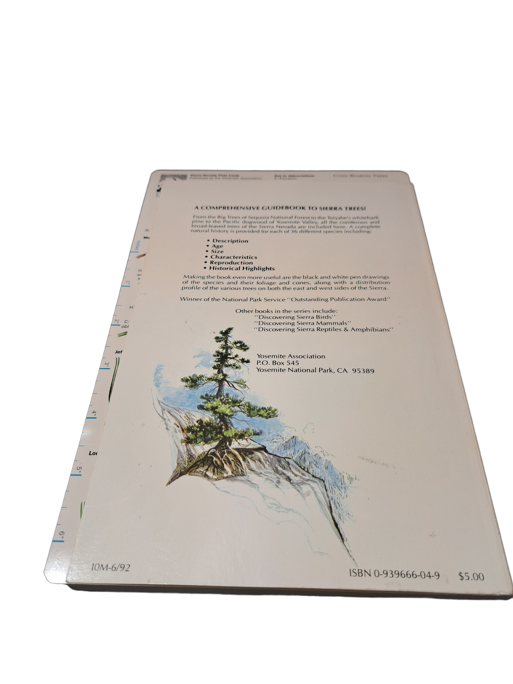 Vintage 1973 Discovering Sierra Trees by Stephen F Arno