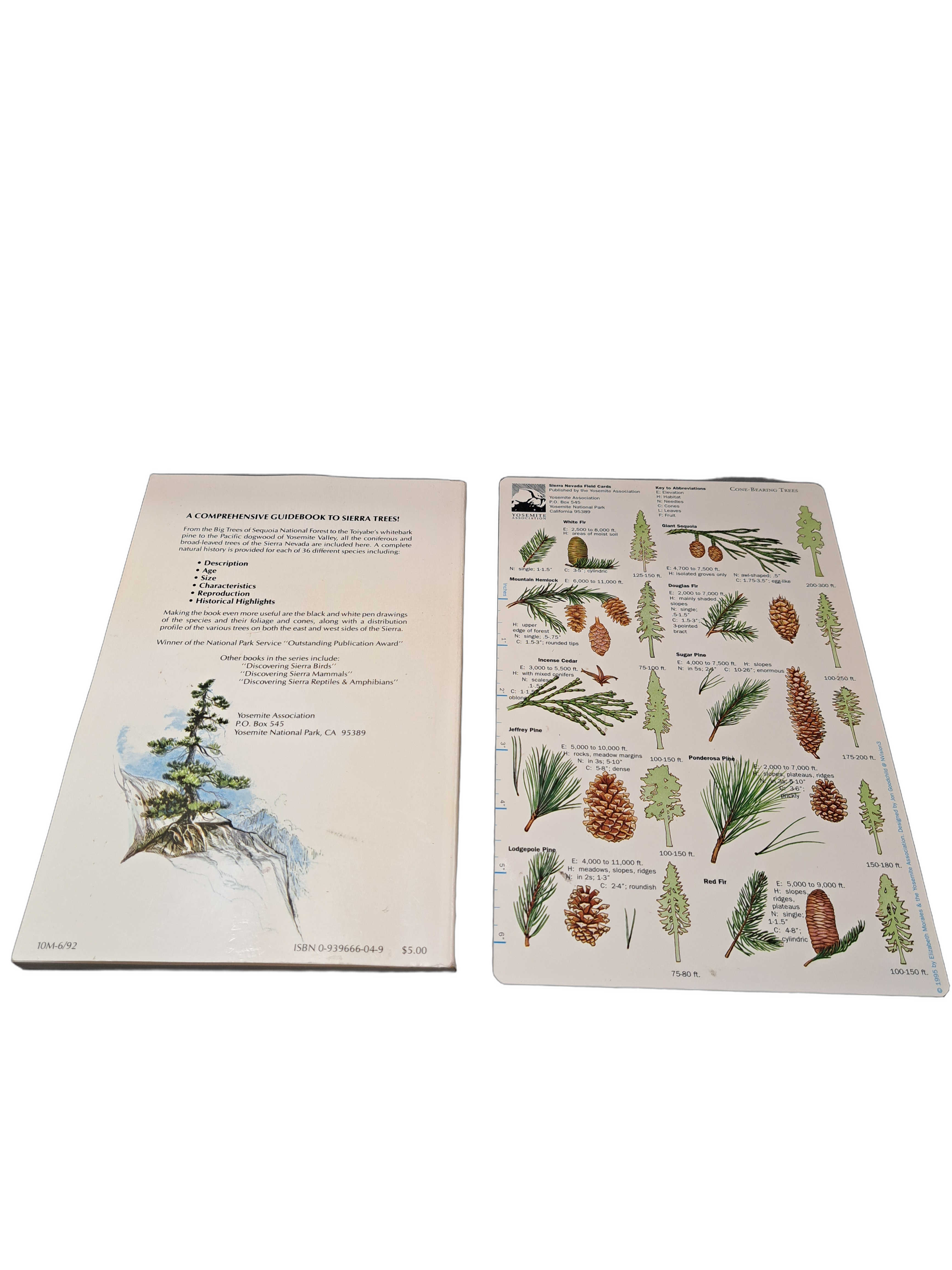 Vintage 1973 Discovering Sierra Trees by Stephen F Arno