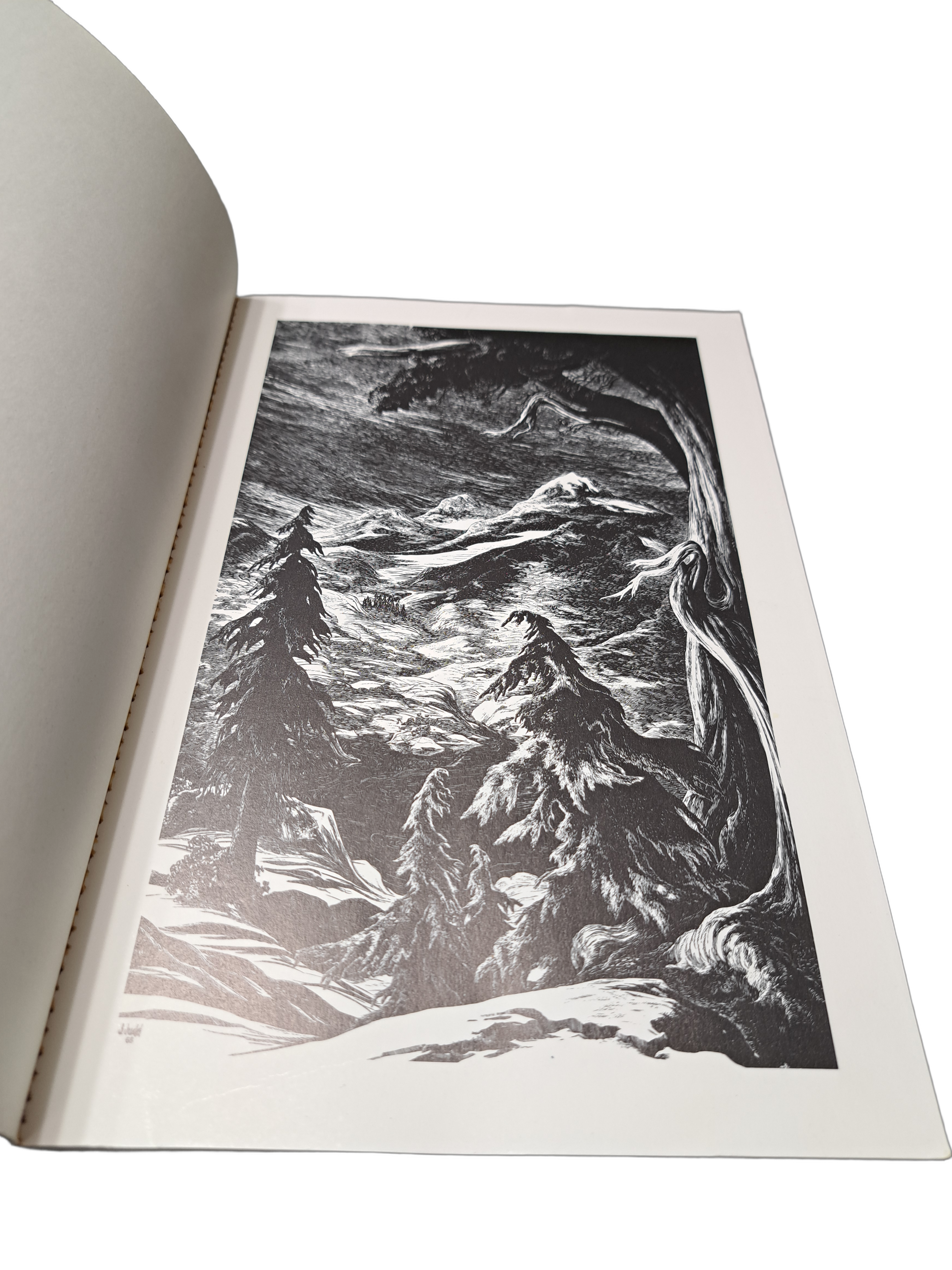 Vintage 1973 Discovering Sierra Trees by Stephen F Arno