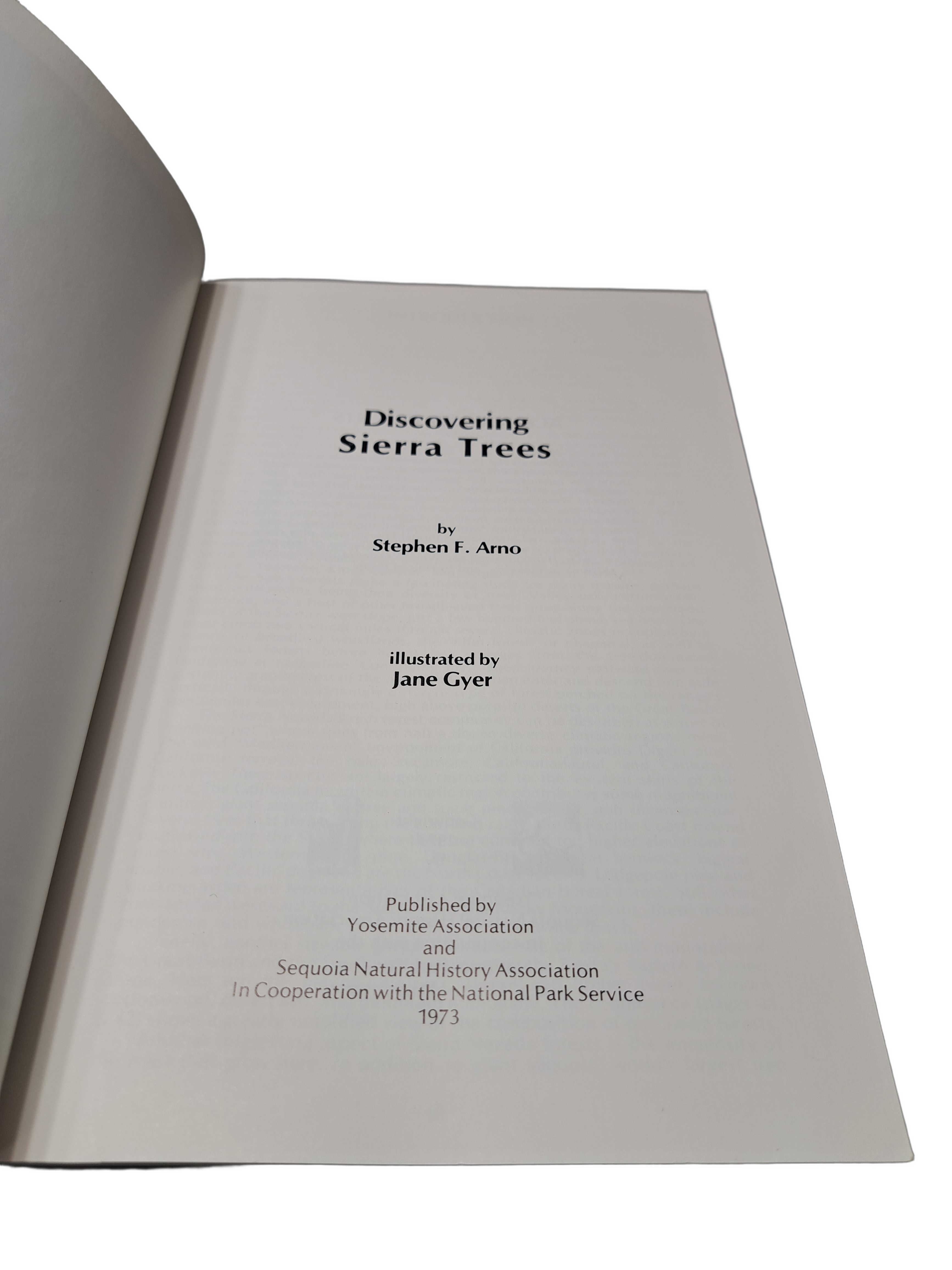 Vintage 1973 Discovering Sierra Trees by Stephen F Arno