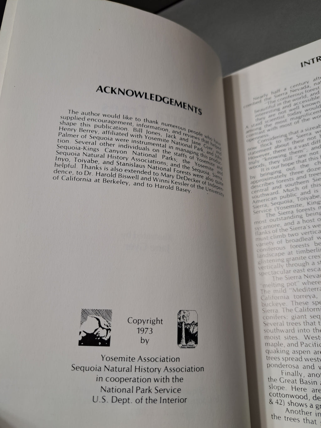Vintage 1973 Discovering Sierra Trees by Stephen F Arno
