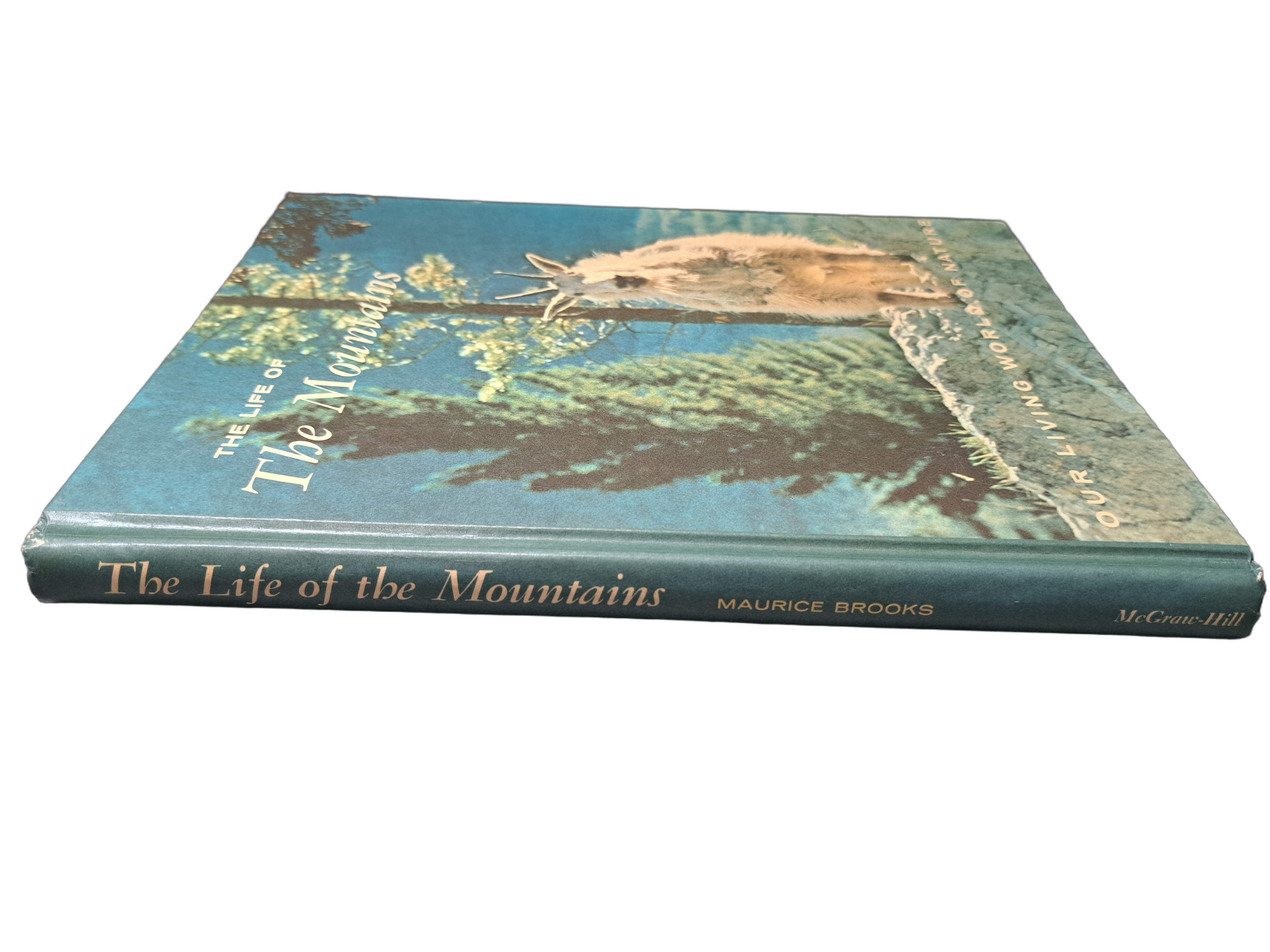 Vintage 1967 Our Living World of Nature: The Life of the Mountains by Maurice Brooks