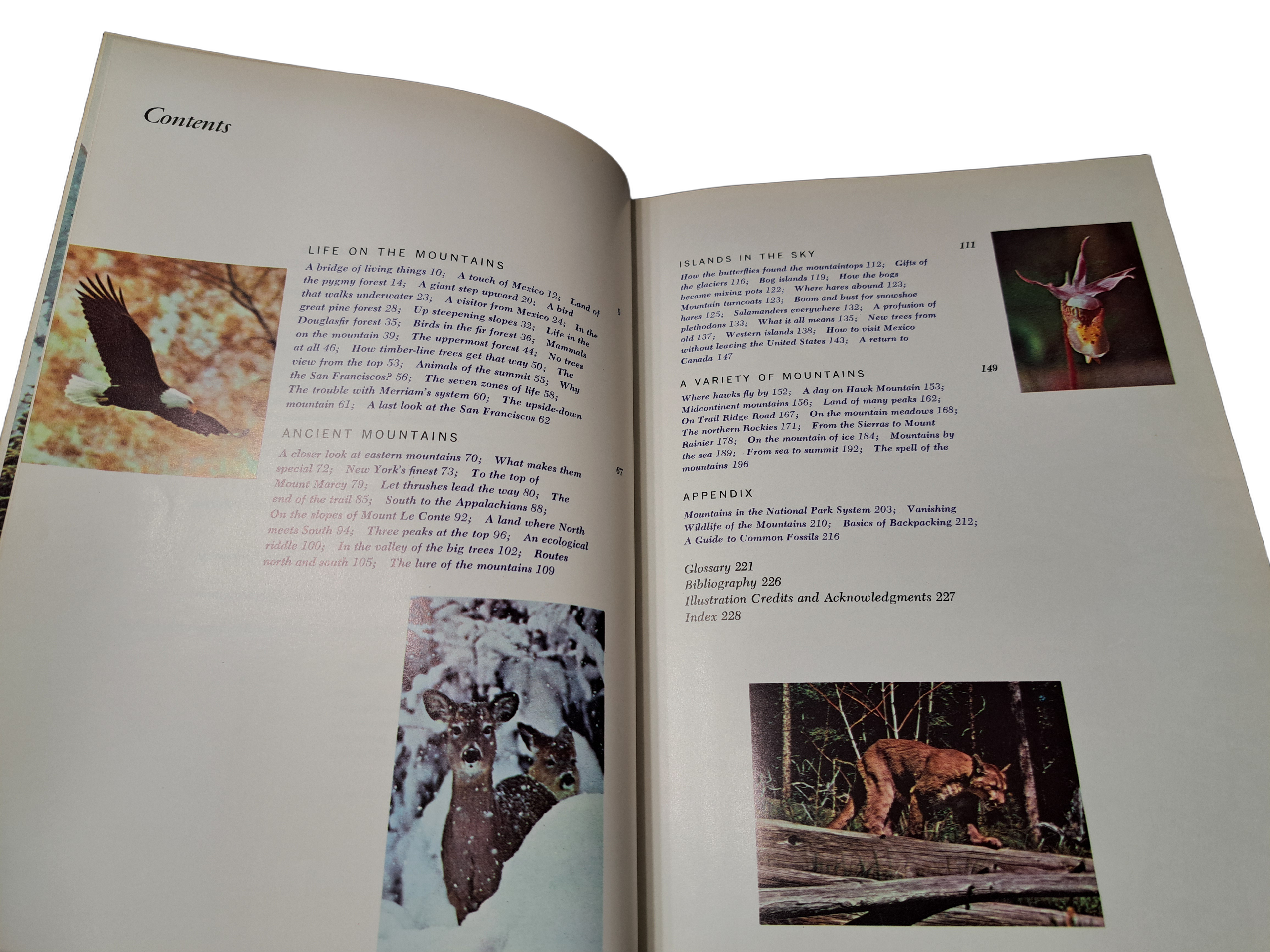 Vintage 1967 Our Living World of Nature: The Life of the Mountains by Maurice Brooks