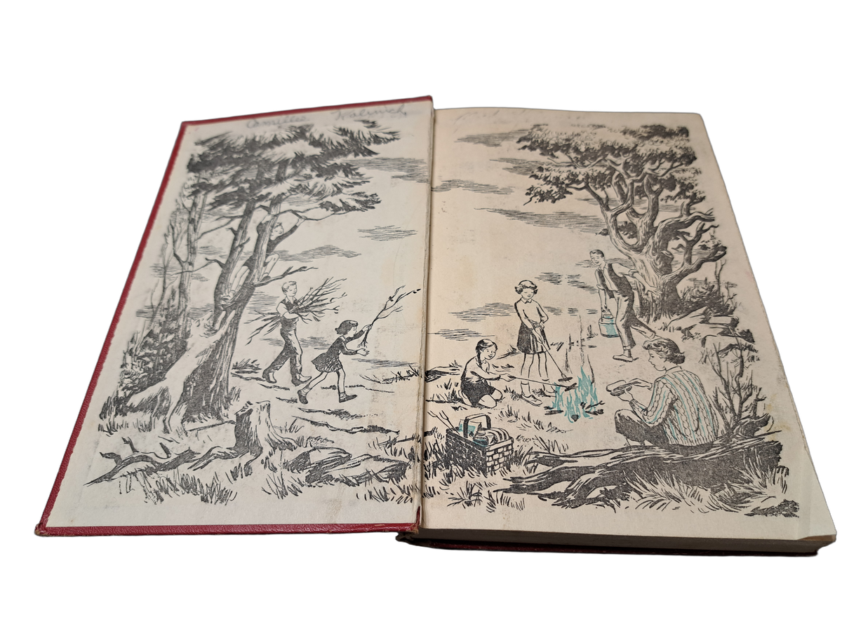 Vintage 1953 The Happy Hollisters and the Indian Treasure by Jerry West
