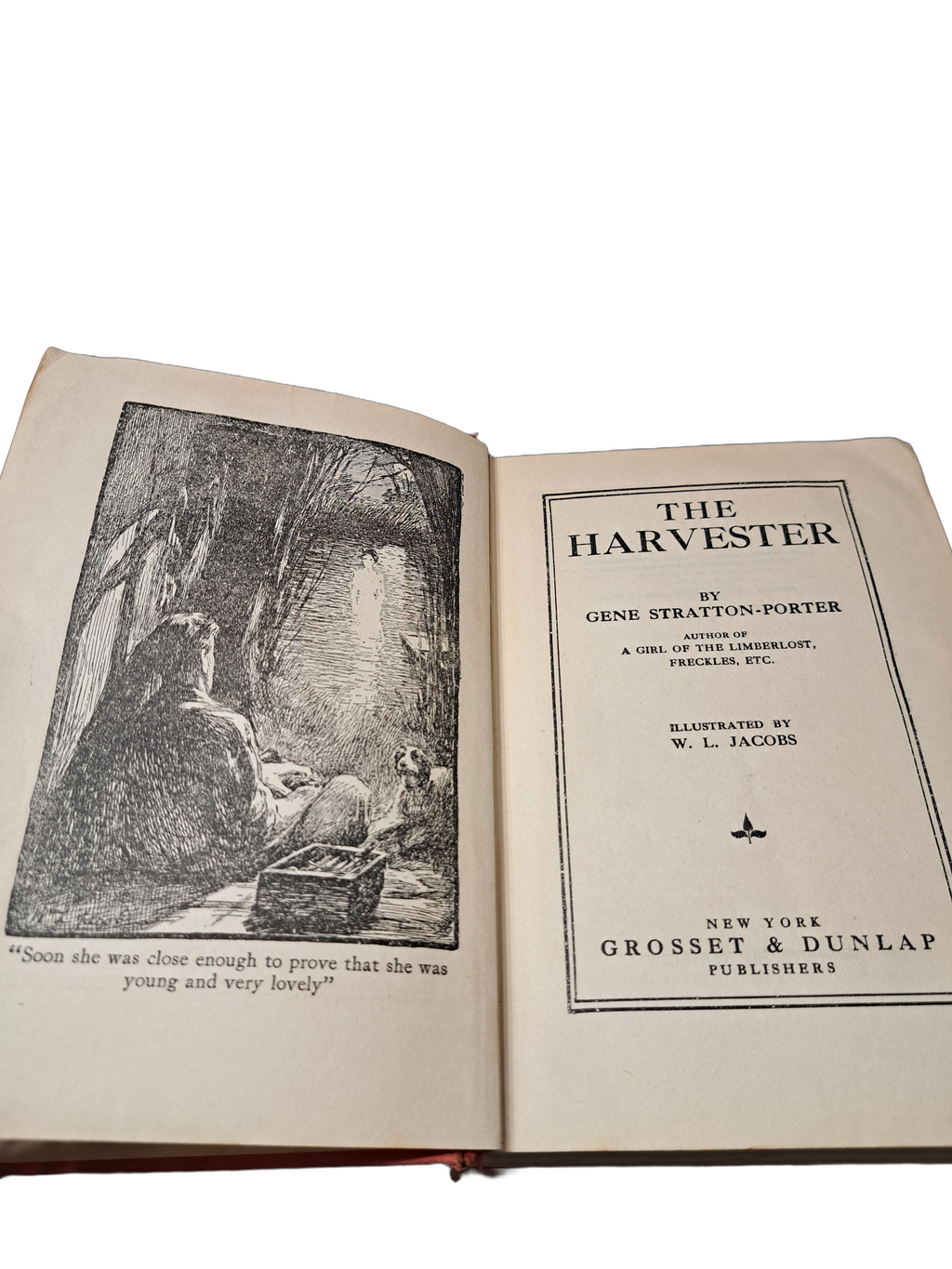 Vintage 1911 The Harvester by Gene Stratton-Porter
