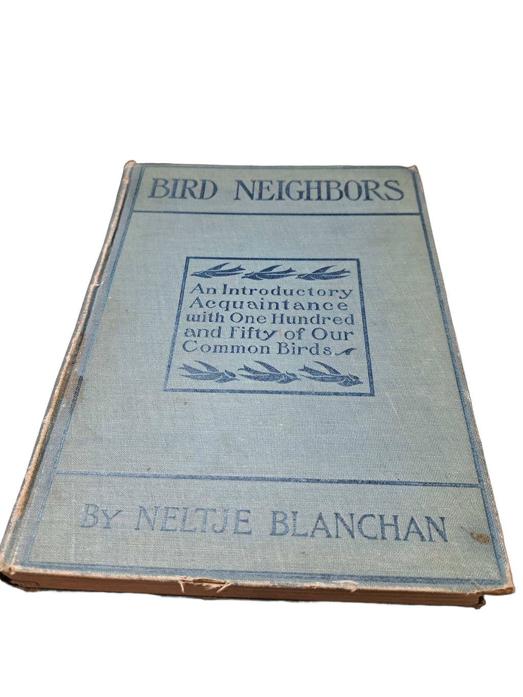 Vintage 1904 Bird Neighbors by Neltje Blanchan