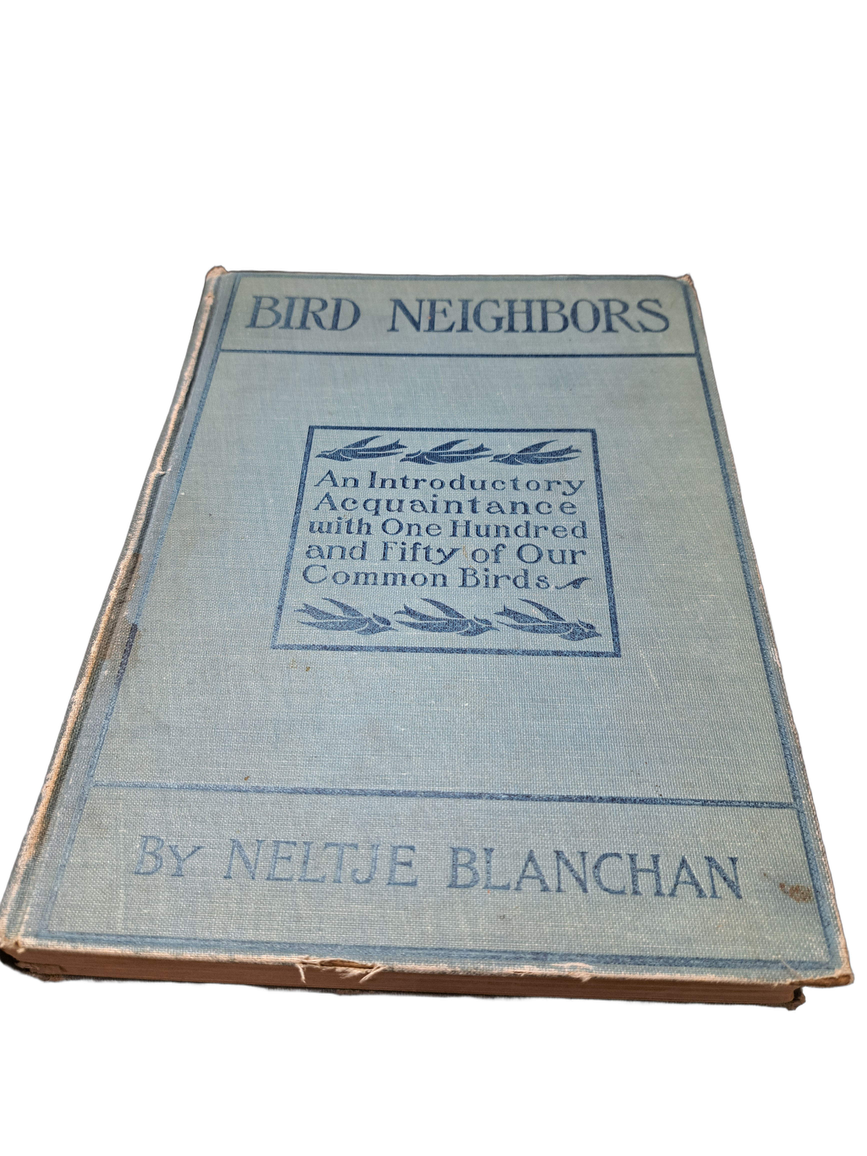 Vintage 1904 Bird Neighbors by Neltje Blanchan