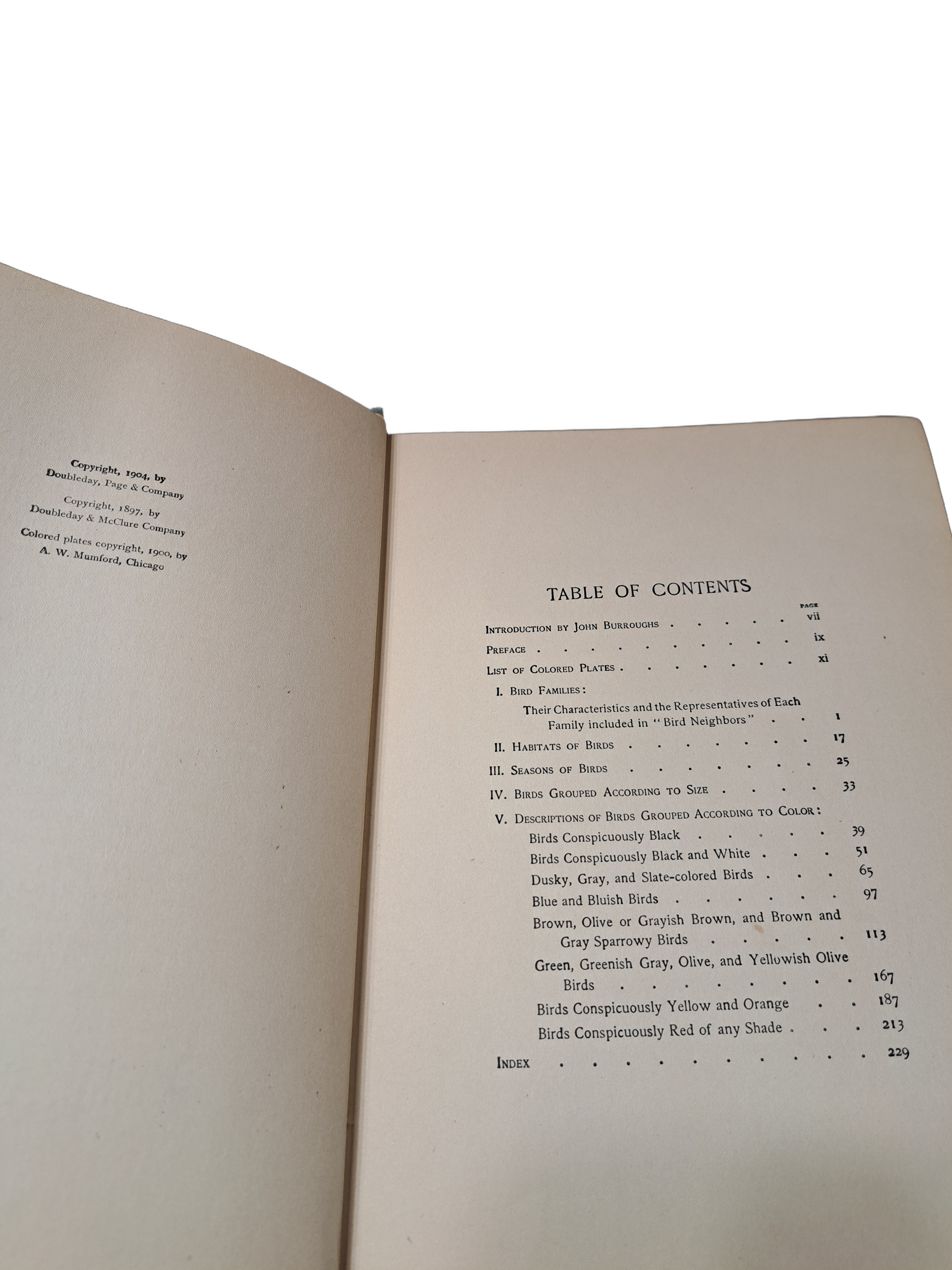 Vintage 1904 Bird Neighbors by Neltje Blanchan