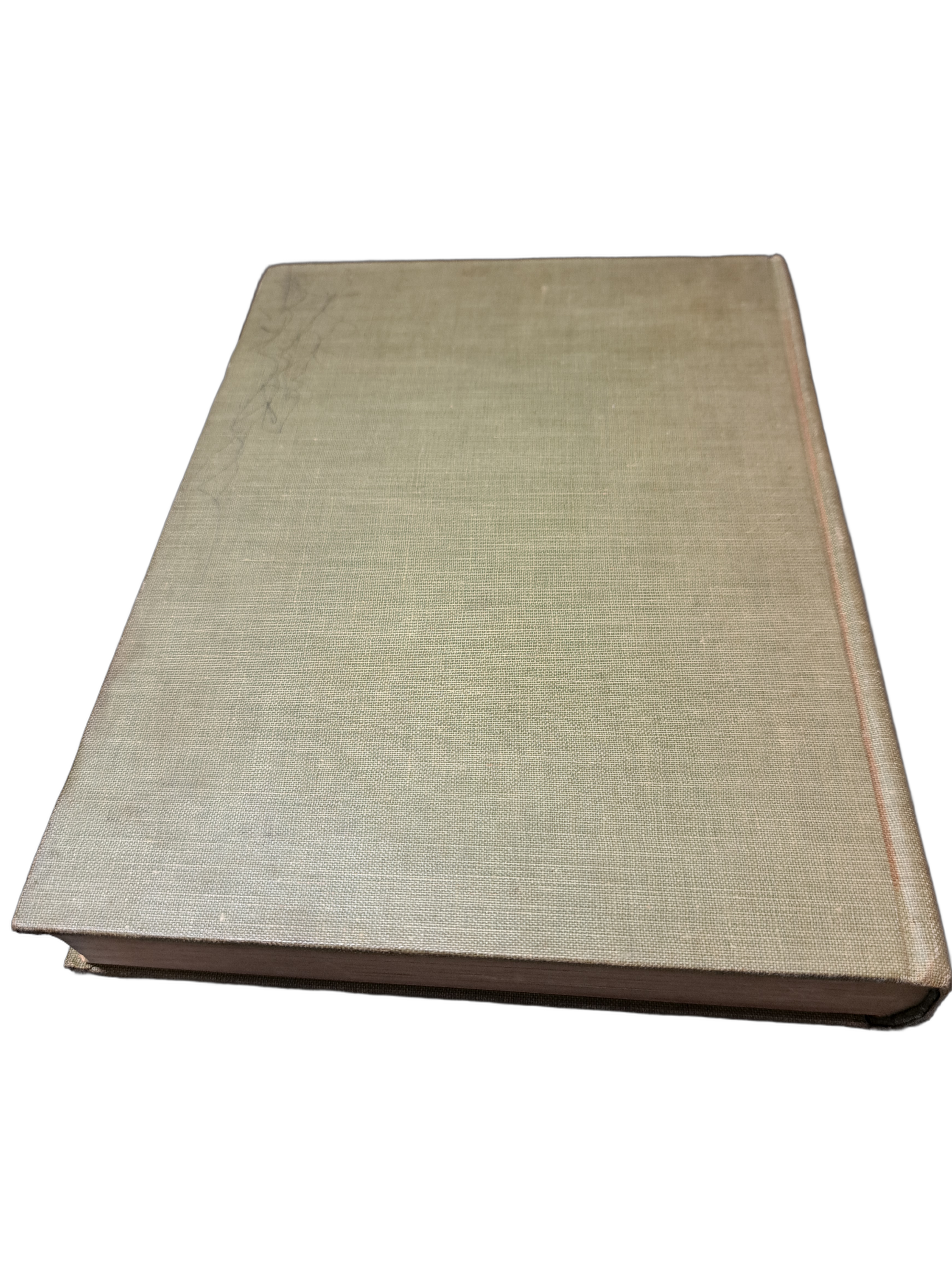 Vintage 1911 With the Children on Sundays by Sylvanus Stall D.D.