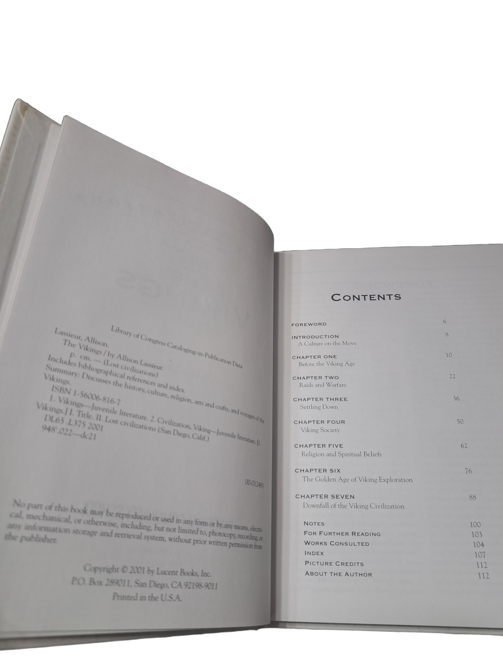 2001 Lost Civilizations: The Vikings by Allison Lassieur