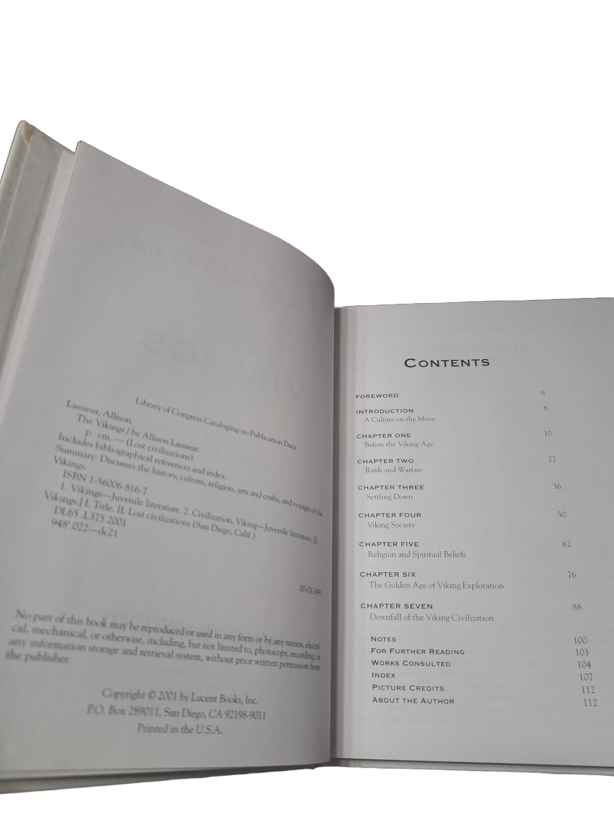 2001 Lost Civilizations: The Vikings by Allison Lassieur