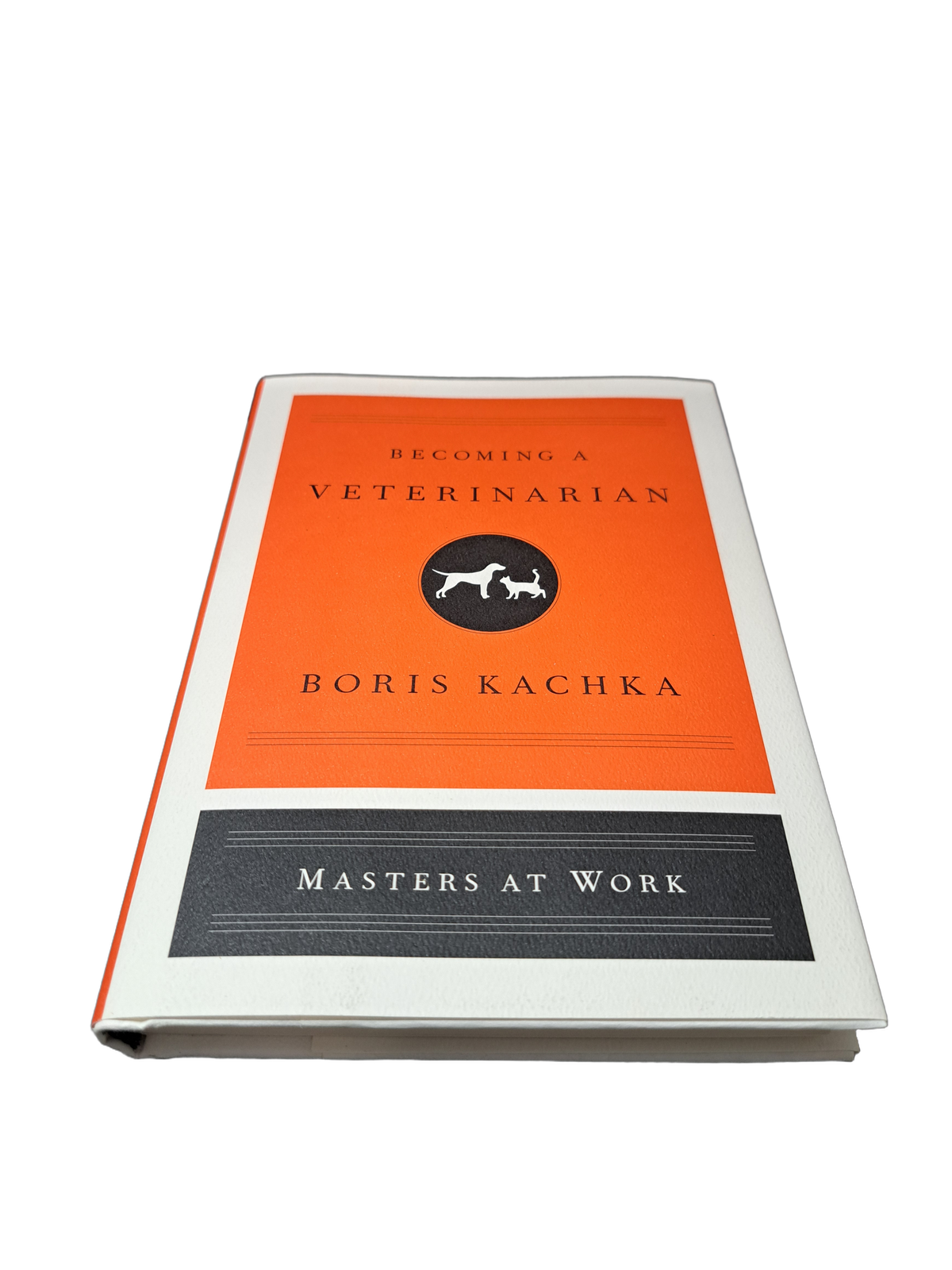 Becoming A Veterinarian: Masters at Work by Boris Kachka
