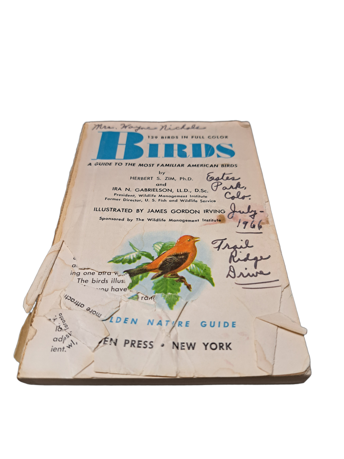 Vintage 1956 Birds: A Guide to the Most Familiar American Birds
