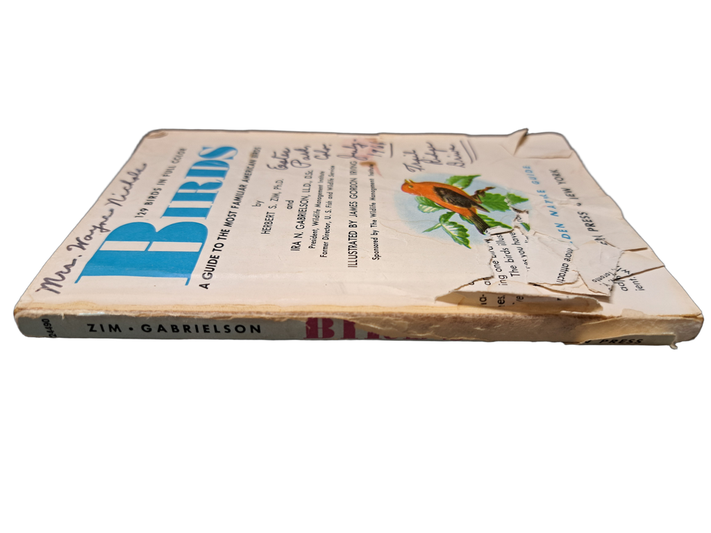 Vintage 1956 Birds: A Guide to the Most Familiar American Birds