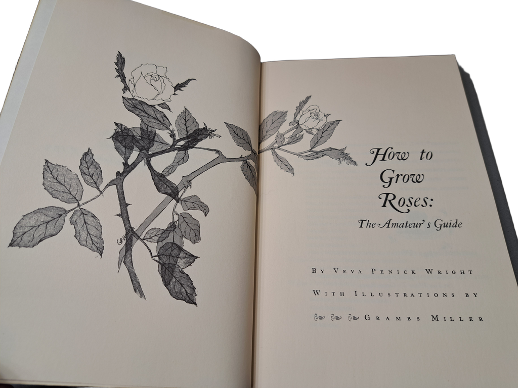 Vintage 1972 How to Grow Roses: The Amateur's Guide