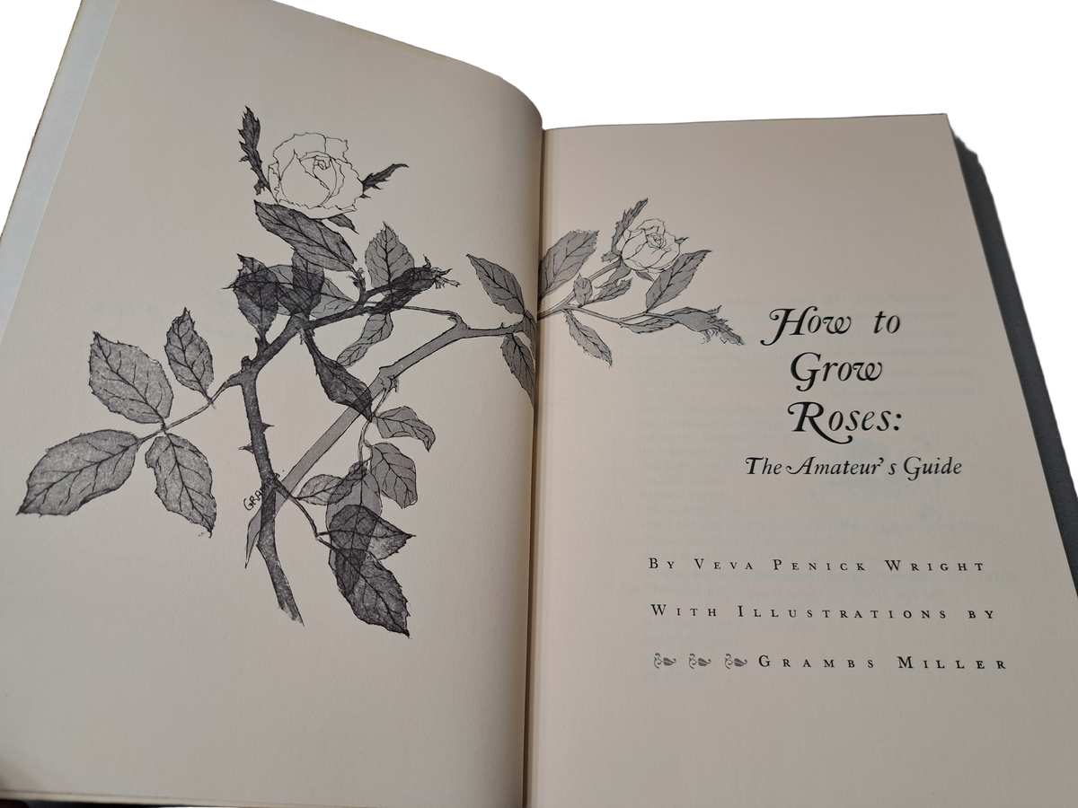 Vintage 1972 How to Grow Roses: The Amateur's Guide