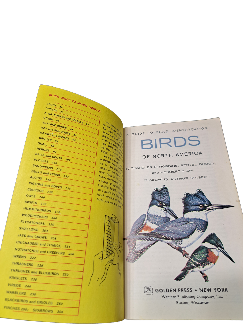 Vintage 1966 A Guide to Field Identification Birds of North America