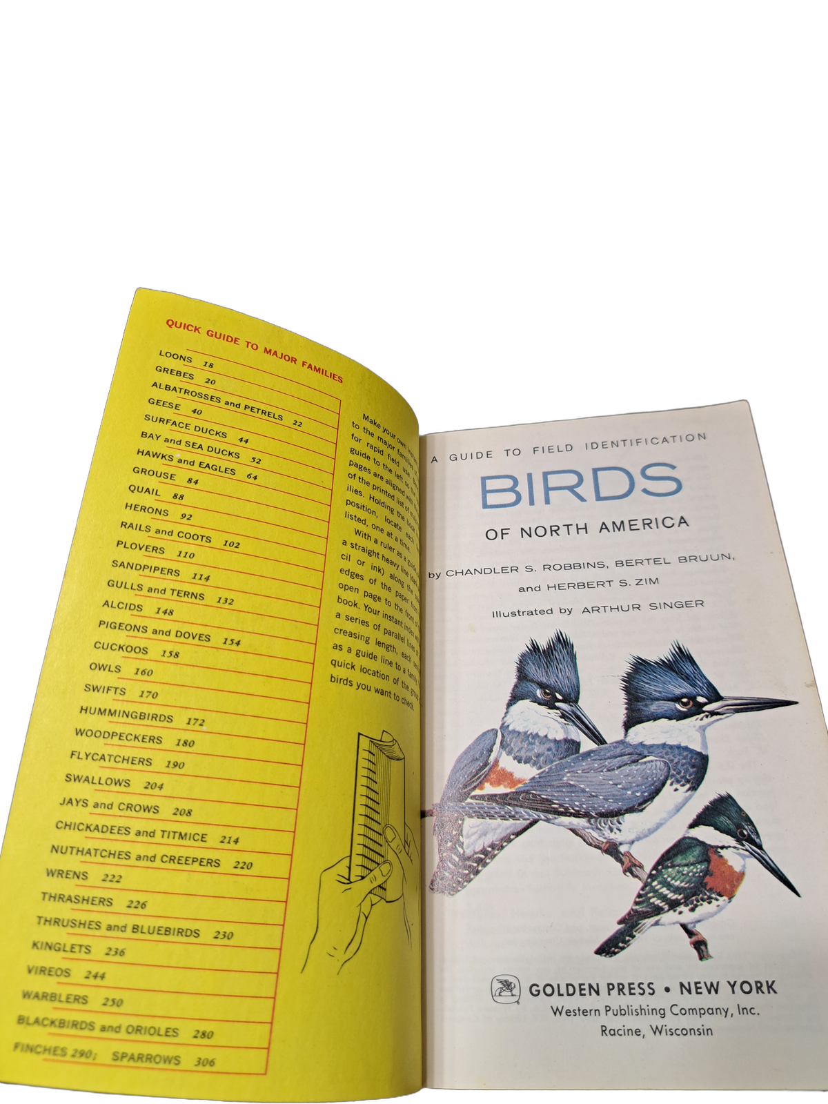 Vintage 1966 A Guide to Field Identification Birds of North America