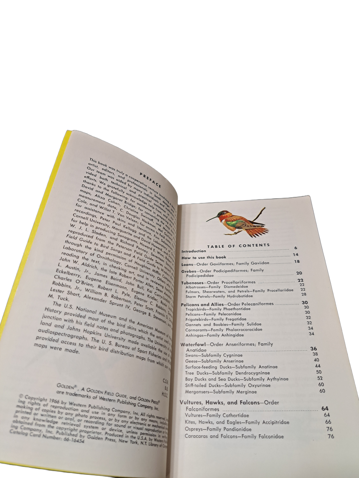 Vintage 1966 A Guide to Field Identification Birds of North America