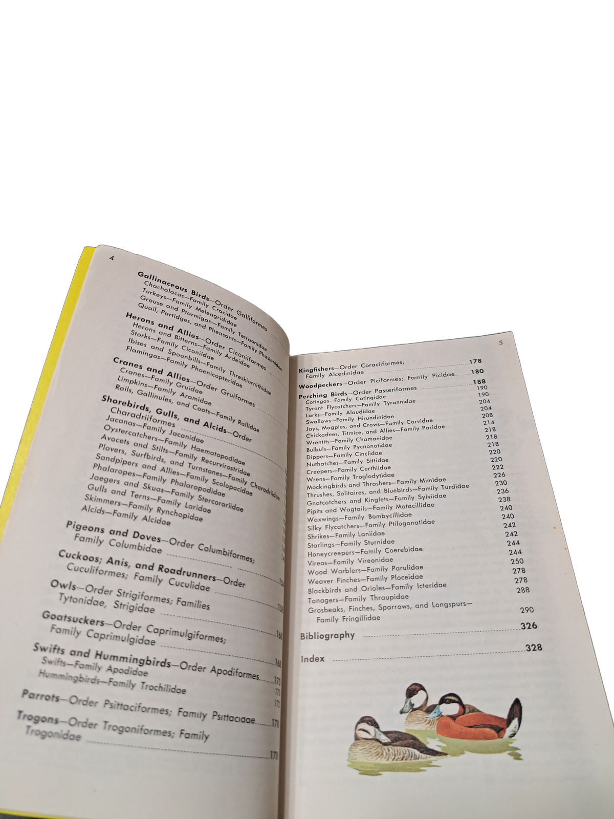 Vintage 1966 A Guide to Field Identification Birds of North America