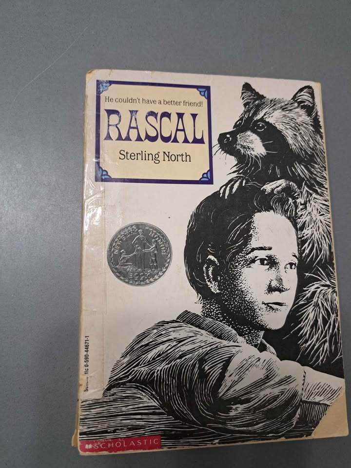 Vintage 1963 first edition of Rascal by Sterling North (paperback)